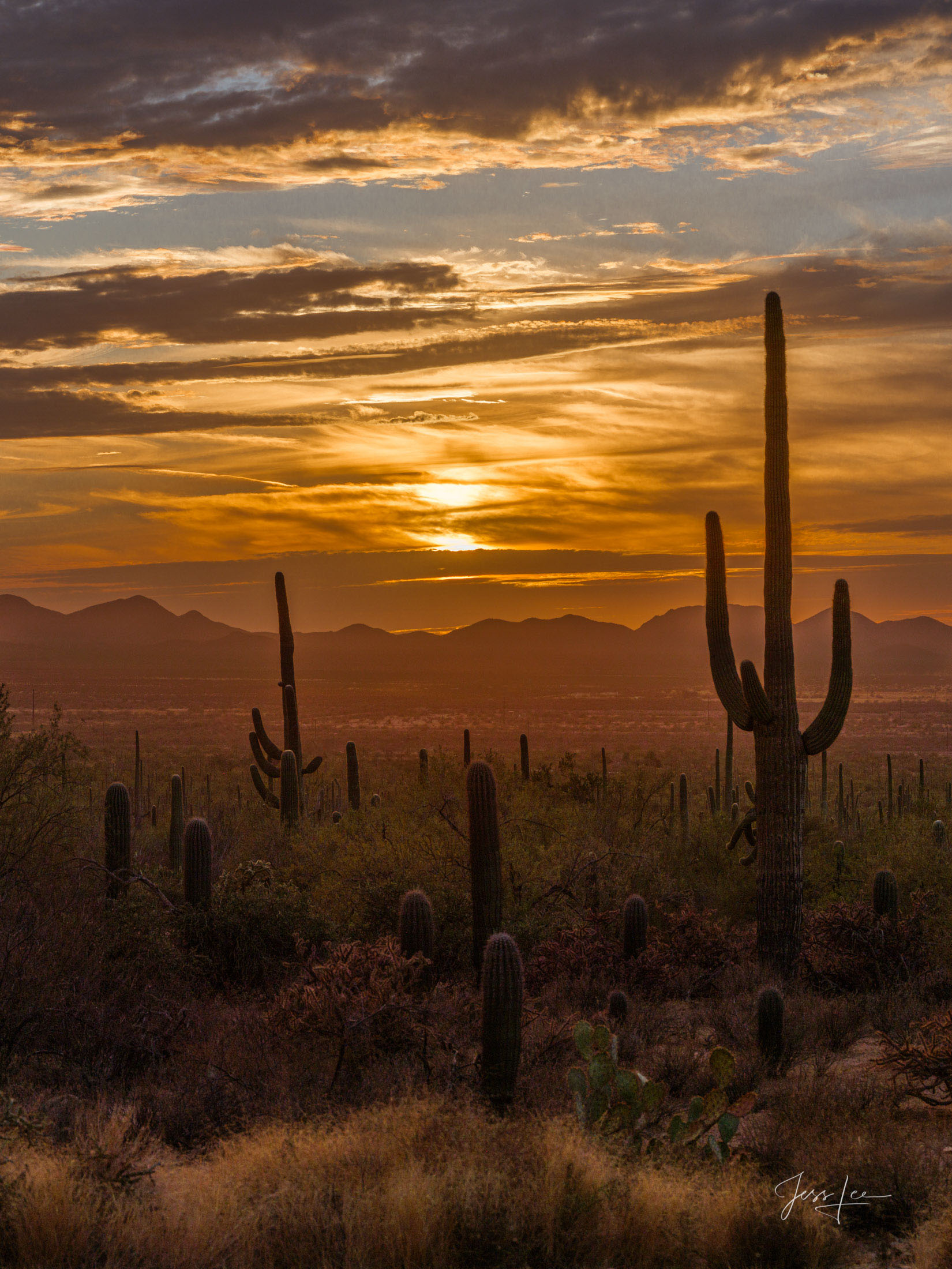 Arizona Desert Luxury Print This large-format Fine-Art Photography Print of the Arizona Desert is for sale in Trulife Acrylic, Chromalux Metal, and fine-art paper.