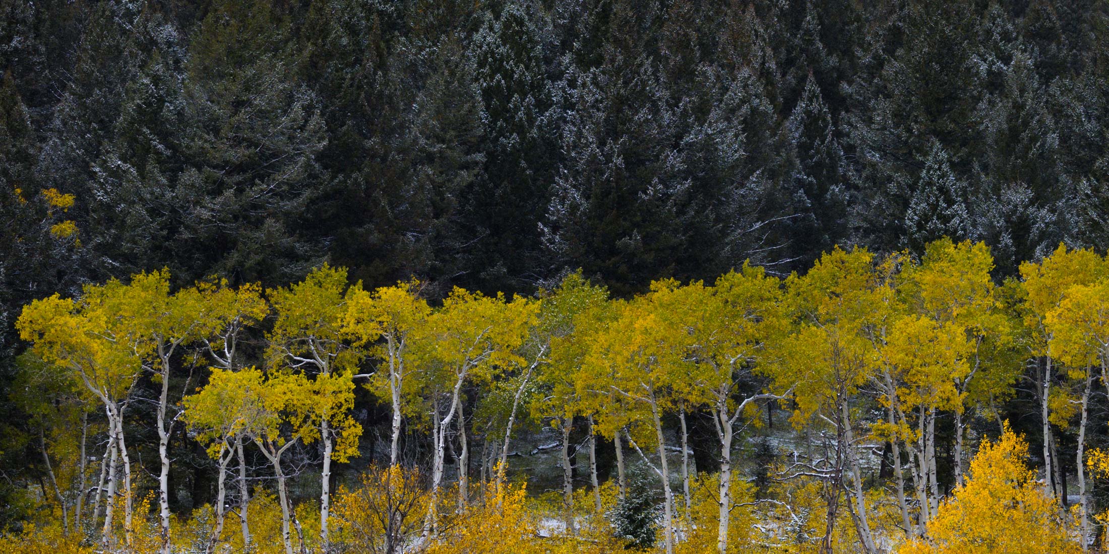 Grand Teton Photo Print 1 A Grand Teton photo fine art print of beautiful Photography and Pictures in large format museum-quality Acrylic or metal wall art