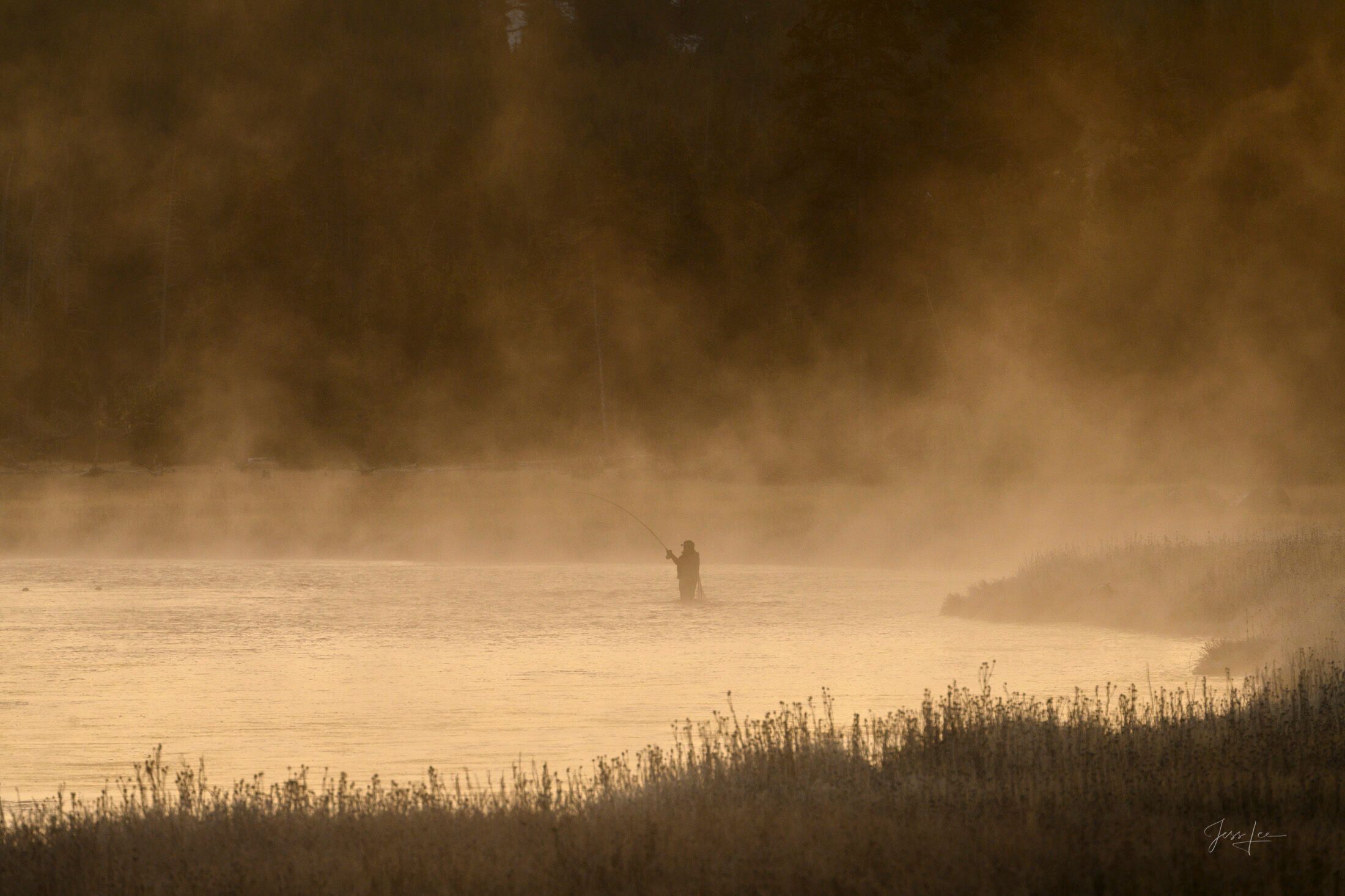 Ghost of the Madison — Fly Fishing Yellowstone at Dawn Lone fly fisher silhouetted in golden geothermal mist on the Madison River, Yellowstone, at dawn — fine art print by Jess Lee