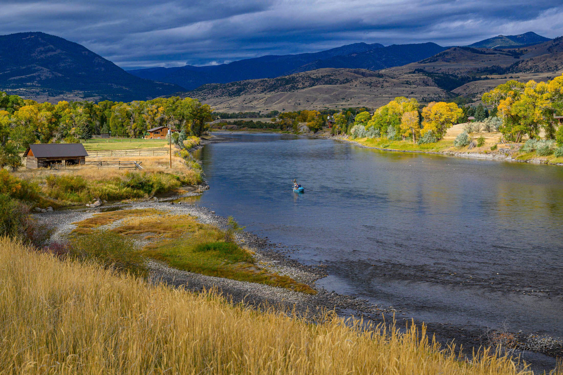 Paradise Found — Yellowstone River, Paradise Valley in Autumn Drift boat on Yellowstone River, Paradise Valley Montana, autumn cottonwoods gold, historic homestead cabin, Absaroka Range beyond — fine art print by Jess Lee