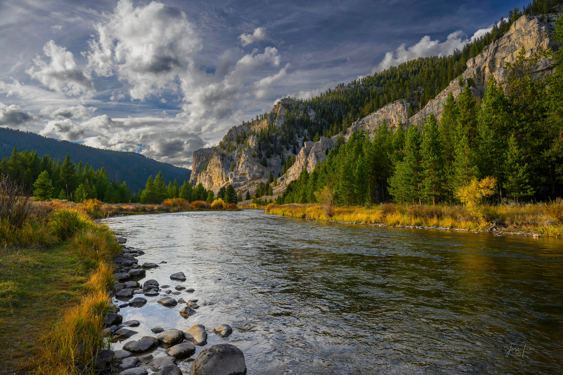 Canyon Light — Gallatin River in Autumn Gallatin River flowing broad and swift past sunlit limestone cliffs, autumn willows, dramatic storm clouds building, Montana — fine art print by Jess Lee