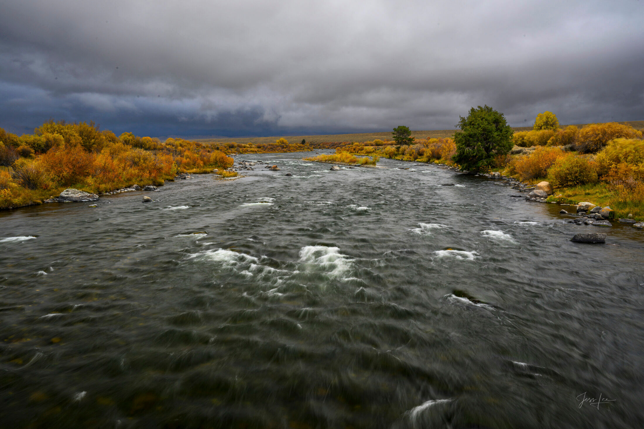 Three Dollar Bridge — The Madison at Full Run Madison River running dark and swift under storm sky, autumn gold willows both banks, view from Three Dollar Bridge Montana — fine art print by Jess Lee