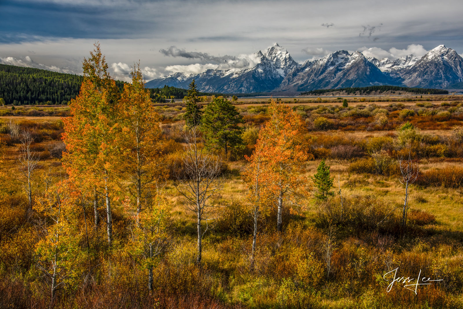 Grand Teton National Park  Autumn Photography Print 