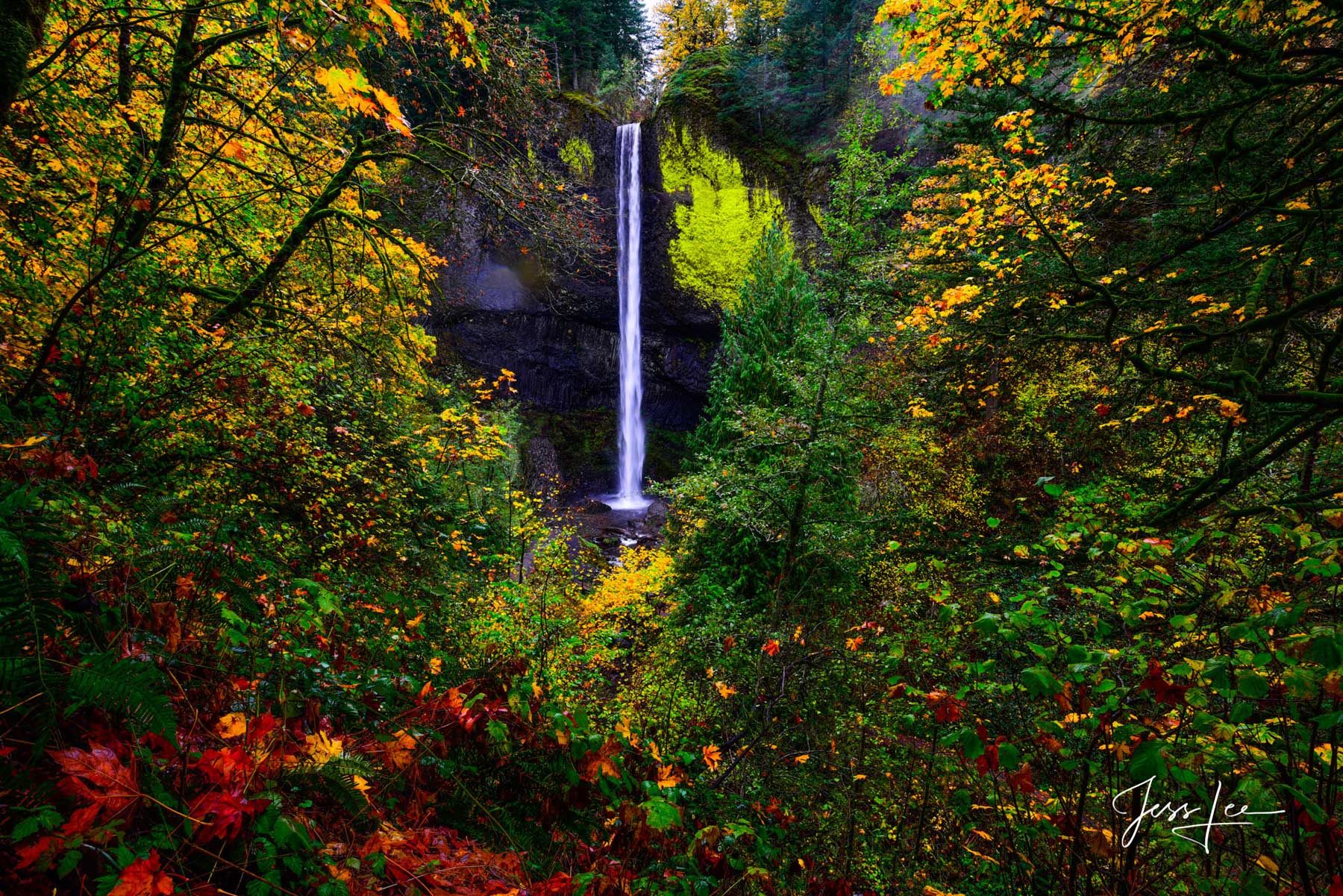 Limited Edition of 50  Latourell is unique among the best-known Columbia Gorge waterfalls, in the way that it drops straight...