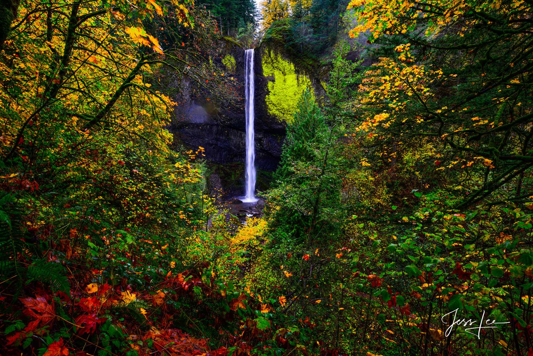 Autumn Falls Limited Edition of 50 Latourell is unique among the best-known Columbia Gorge waterfalls, in the way that it drops straight...