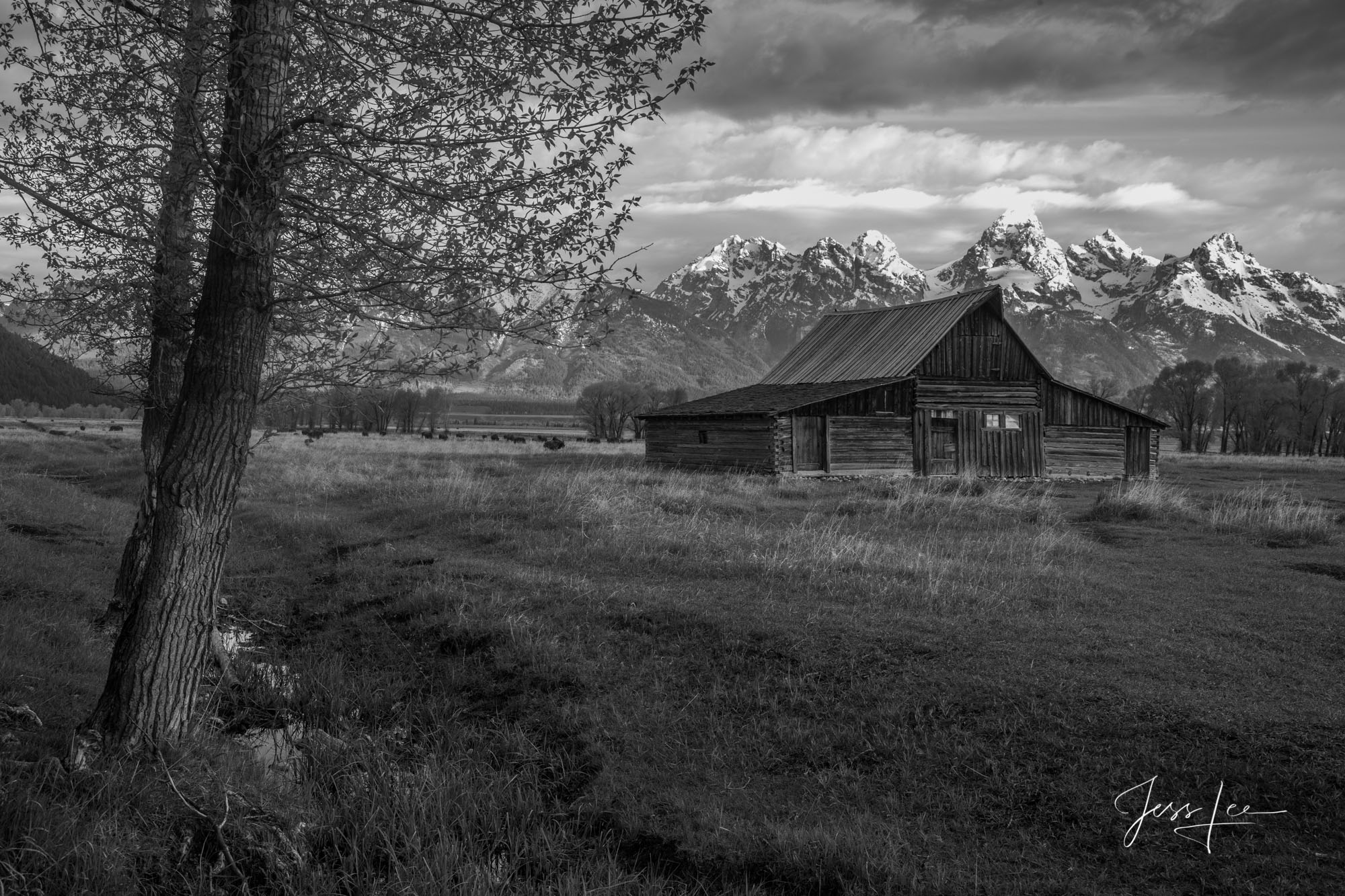 Grand Teton Barn | Photograph in Black and White Grand Teton National Park Photography Print of the Teton Barn in Black and White.