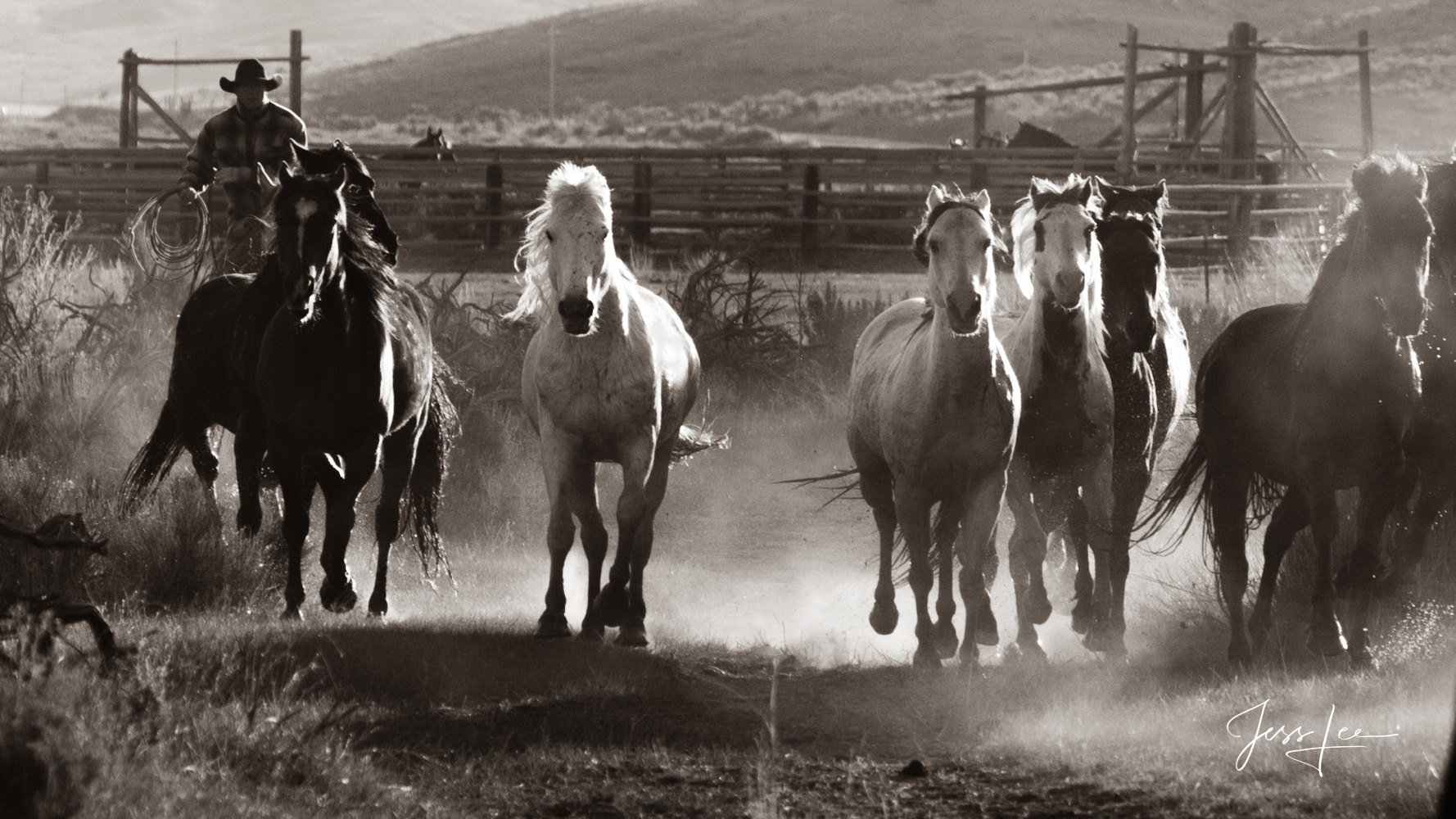 Fine Art Limited Edition Photography of Cowboys, Horses and life in the West. Colorado cowboy and horse herd running on their...