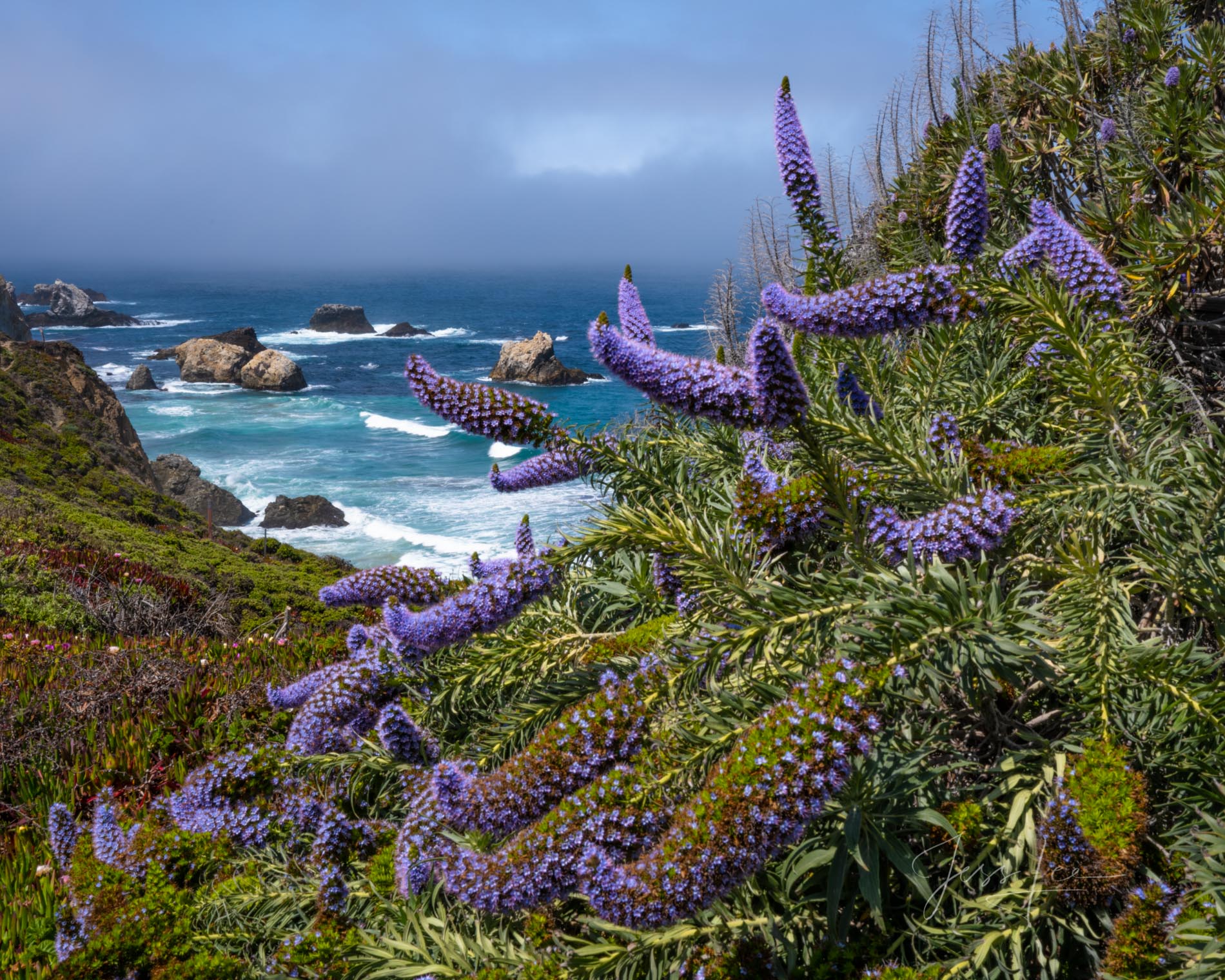 California Coastline Beautiful Photos, Big Sur Photography, California Beach Photos