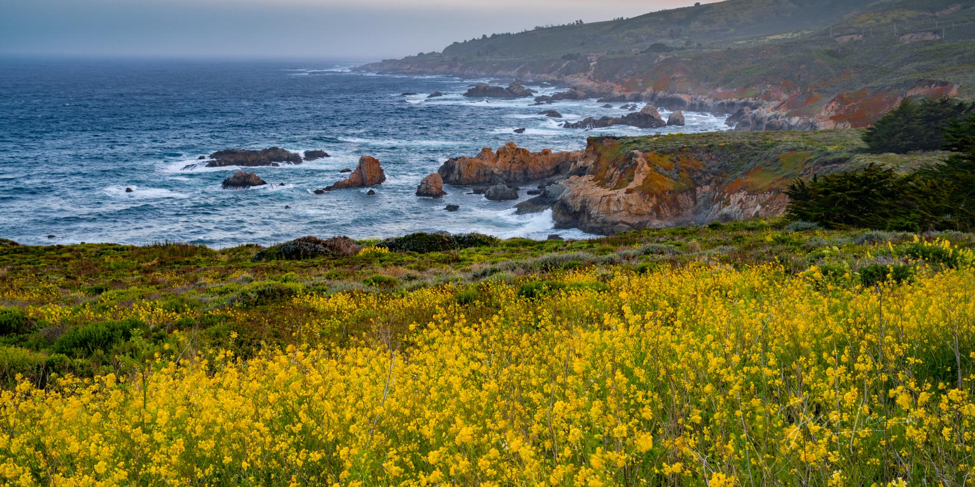 California Coast Photography, Big Sur Photos