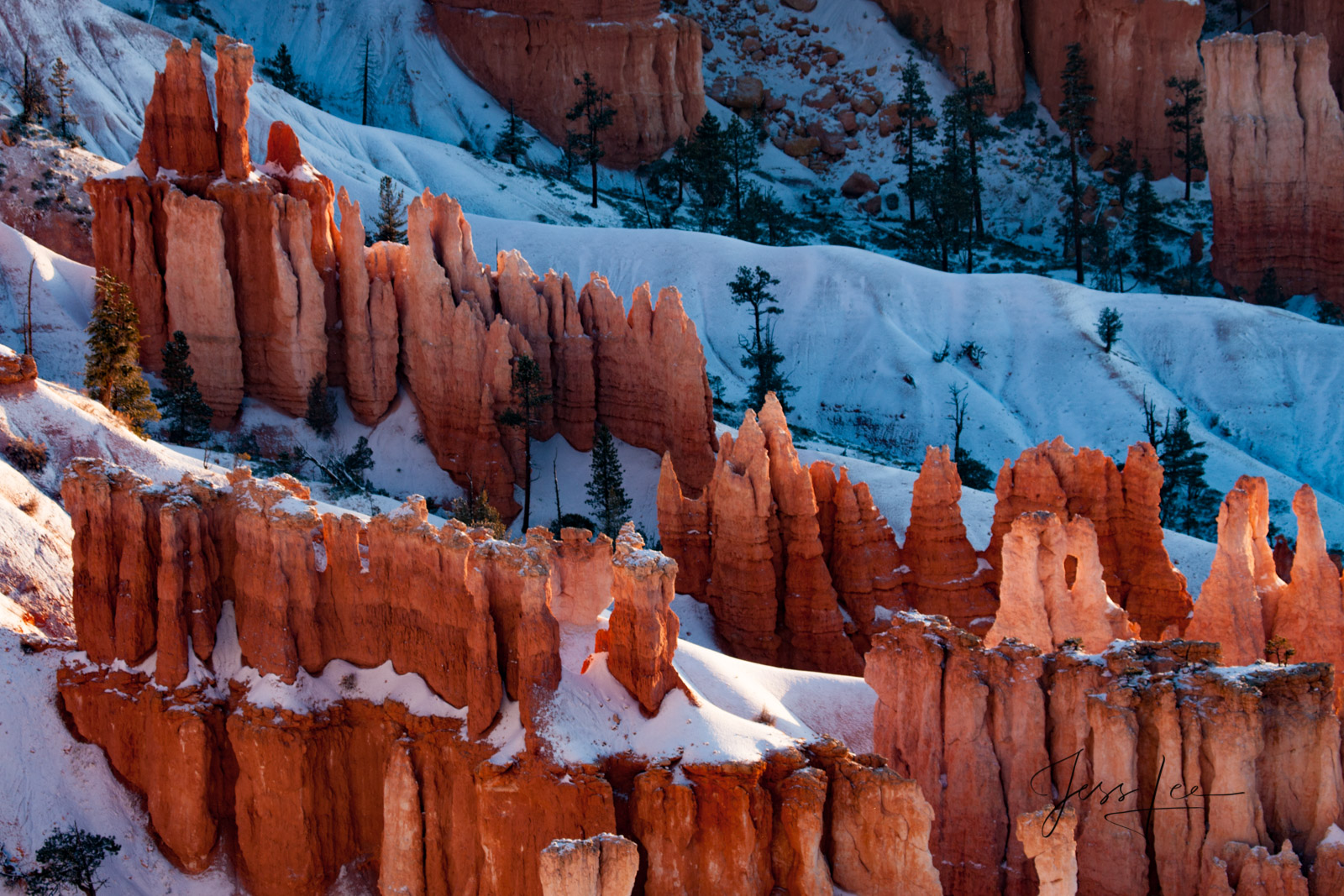 Jagged teeth-like rock formations in Bryce Canyon National Park, Utah. 
