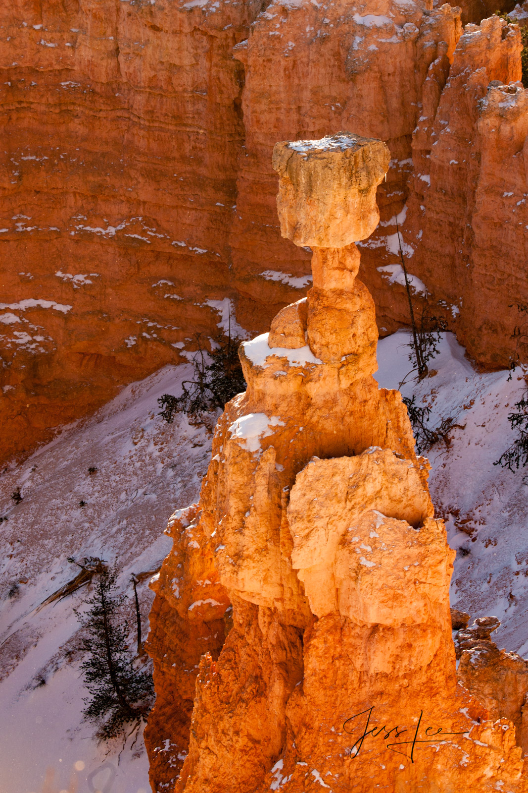 Thors Hammer in Bryce Canyon during winter 