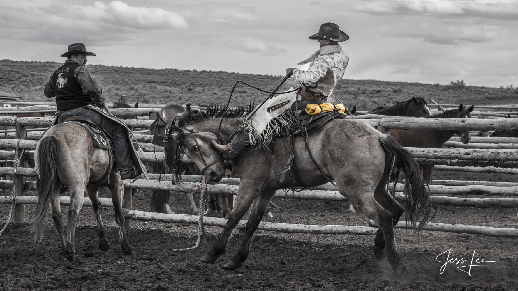 Fine Art Limited Edition Photography of Cowboys, Horses and life in the West. photo of Colorado cowboy bucking out a horse fresh...