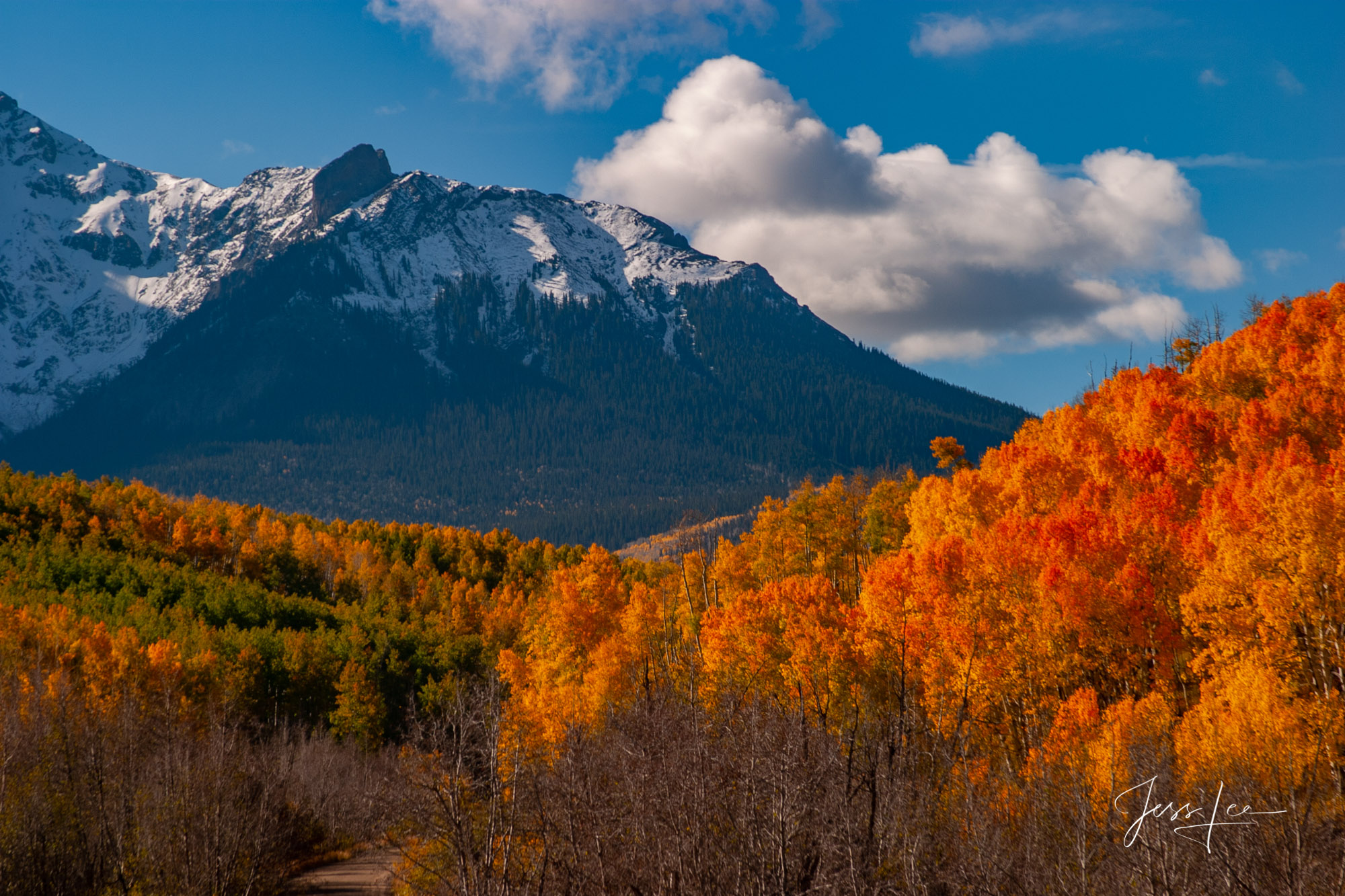 La Pass Fall Colorado Aspen Color on a mountain pass taken at sunset in the San Juan Mountains and offered as a Fine Art Print.