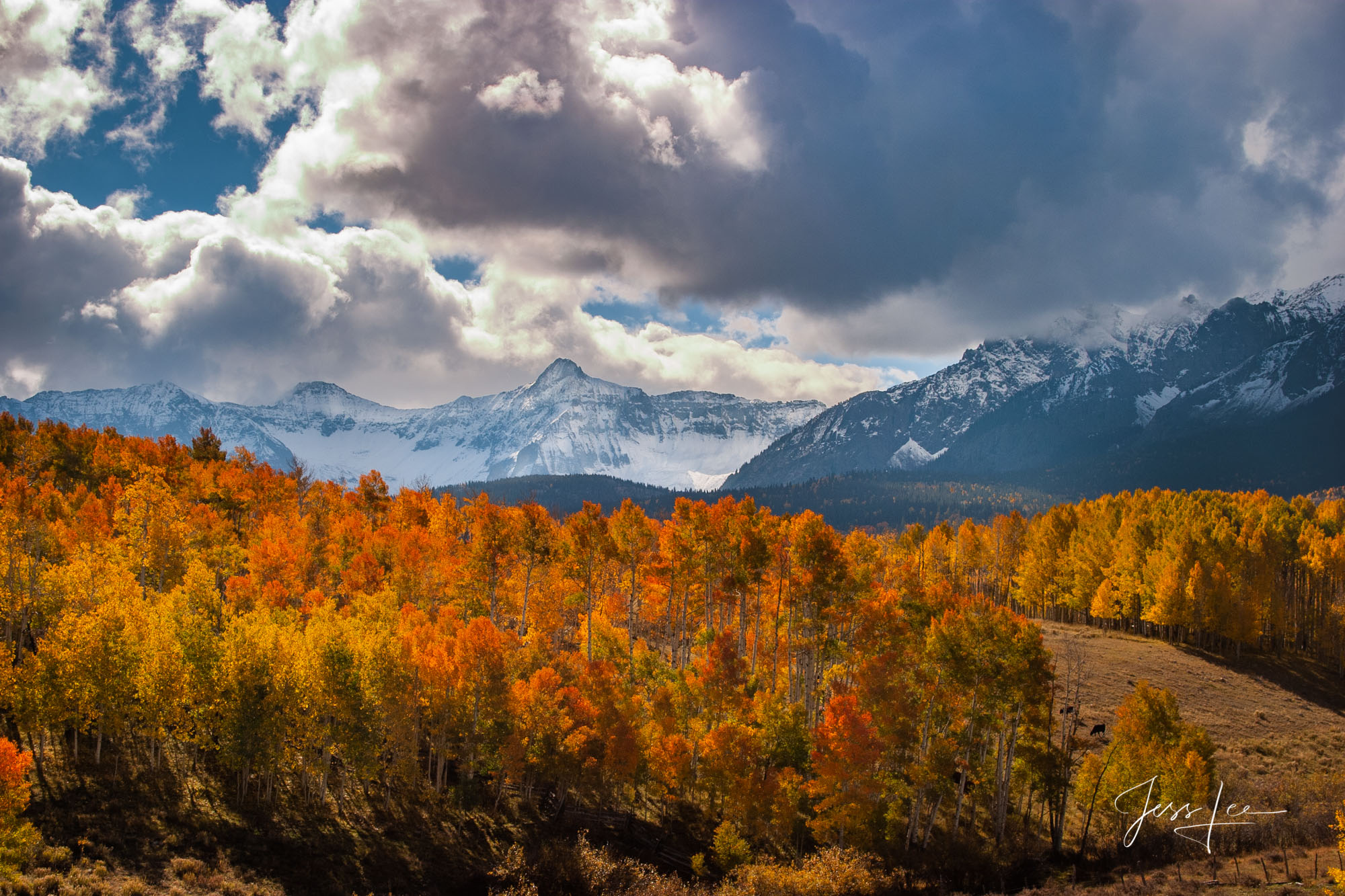 Colorado Aspens in Autumn Landscape. Limited Edition of 200 prints. This is part of the luxurious collection of fine art, limited...