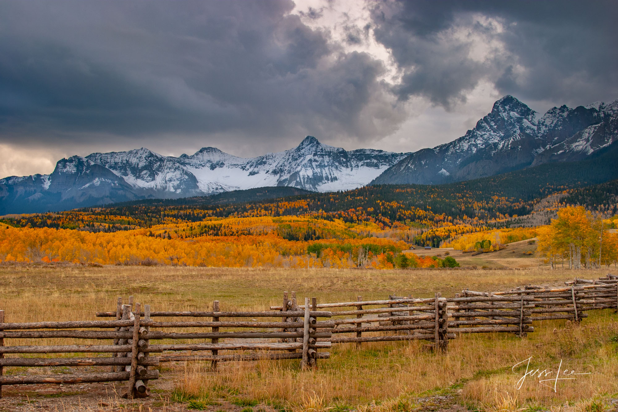 Colorado Fall Color Photography Print
