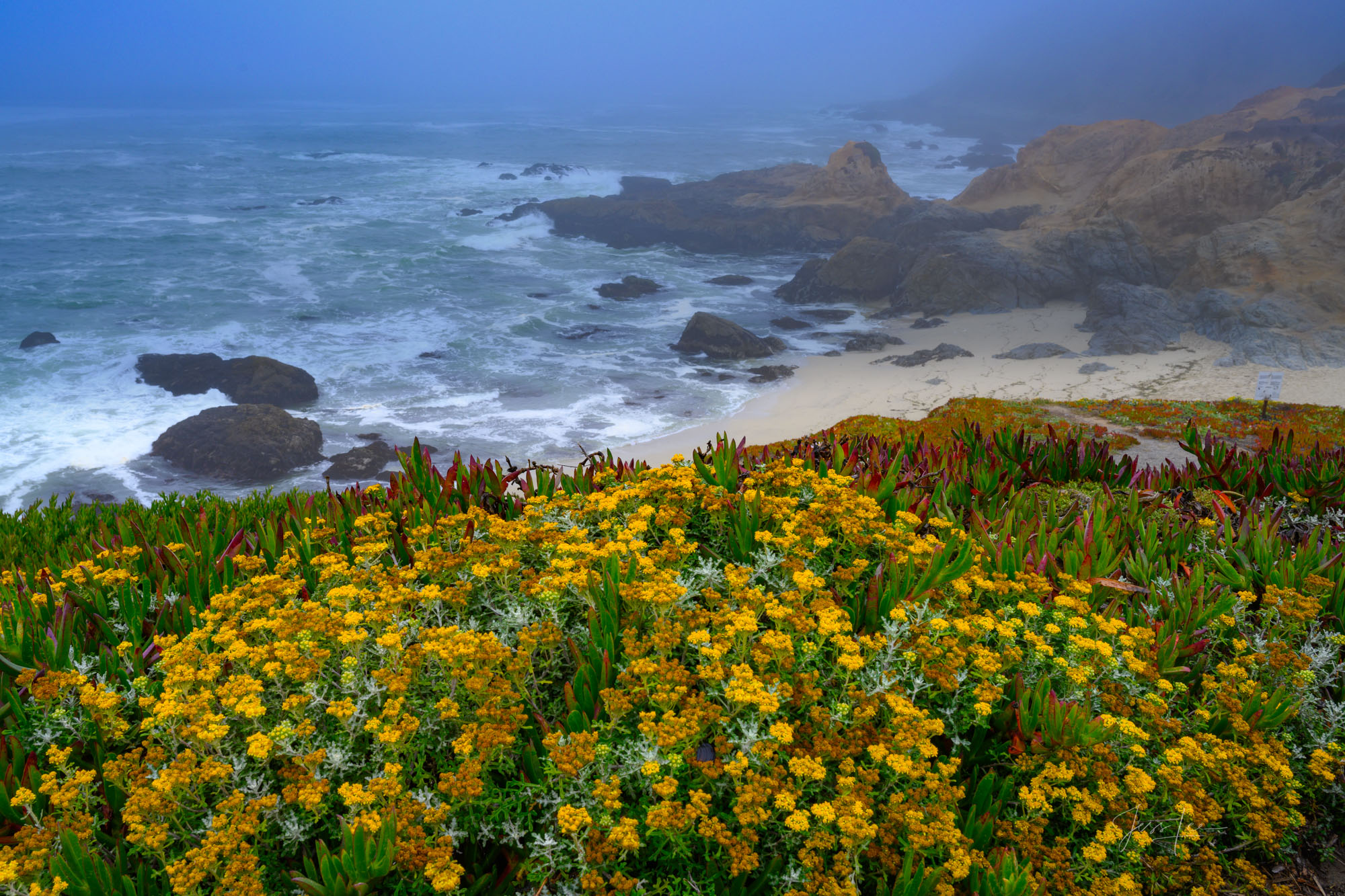 California Coast Photography, Beautiful Beach Photos, California Photography