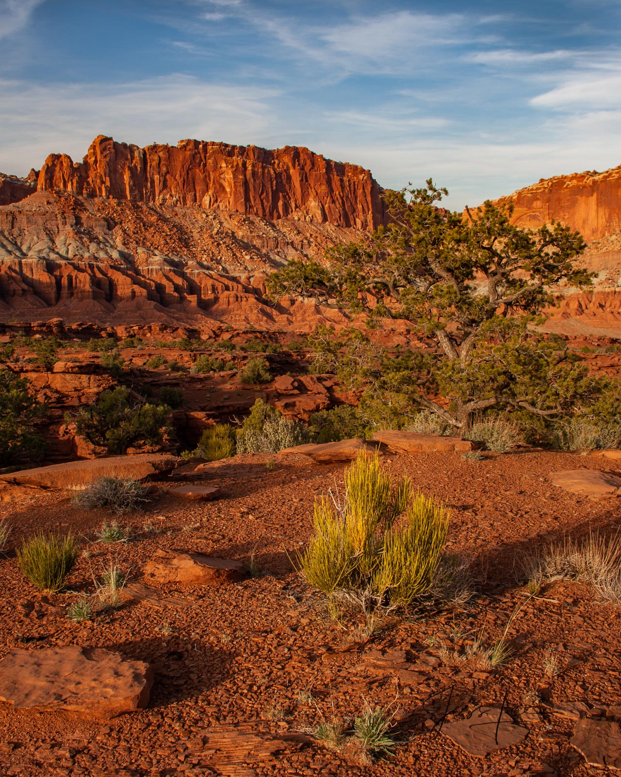 Reef View a Limited Edition of 50 Fine Art Prints Capitol Reef, San Rafael Swell and the Waterpocket Fold are some of the least...