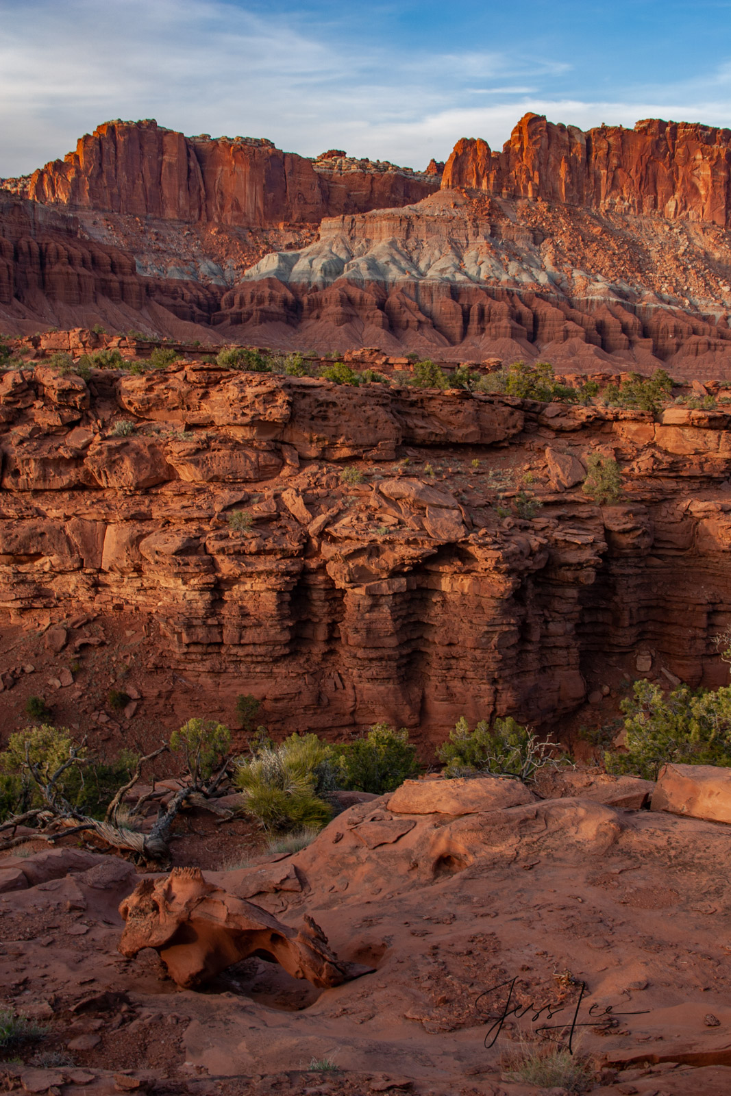 Vertical Reef a Limited Edition of 50 Fine Art Prints The Reef: Capitol Reef, San Rafael Swell and the Waterpocket Fold are some...