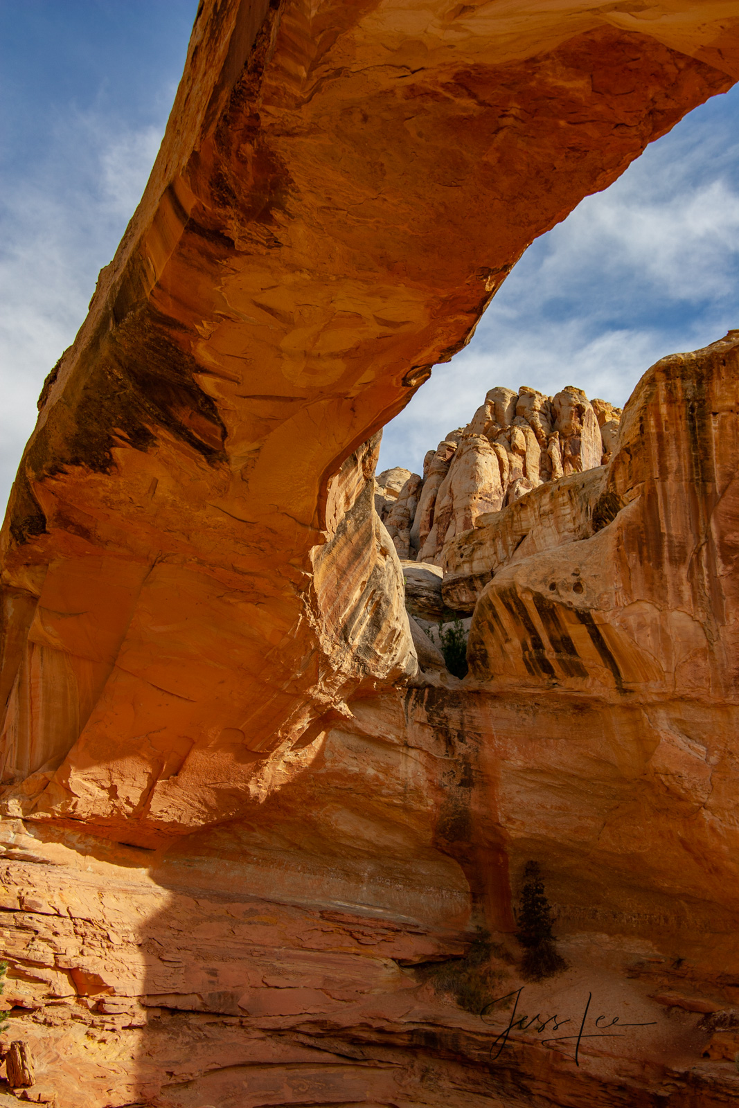 Limited Edition of 50 Fine Art Prints The Bridge : Capitol Reef, San Rafael Swell and the Waterpocket Fold are some of the least...
