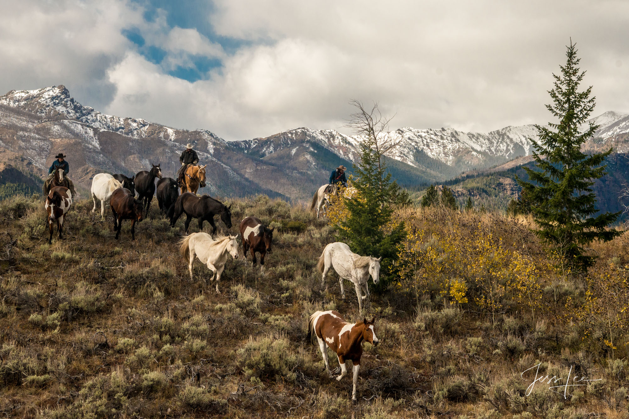 Fine Art Limited Edition Photography of Cowboys, Horses and life in the West. Wyoming Cowboys and cowgirls moving horse herd...