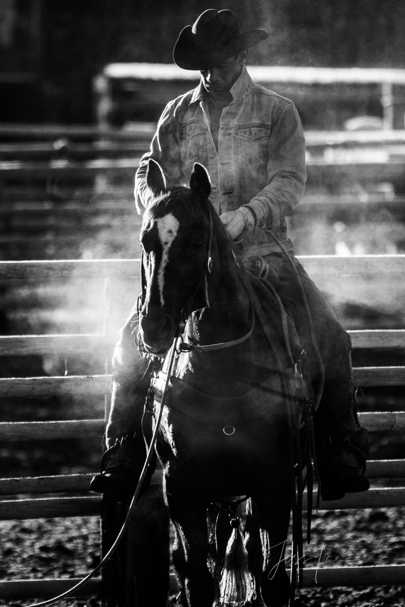 Cowboy Photos, Horse Photos, Black and White Photography