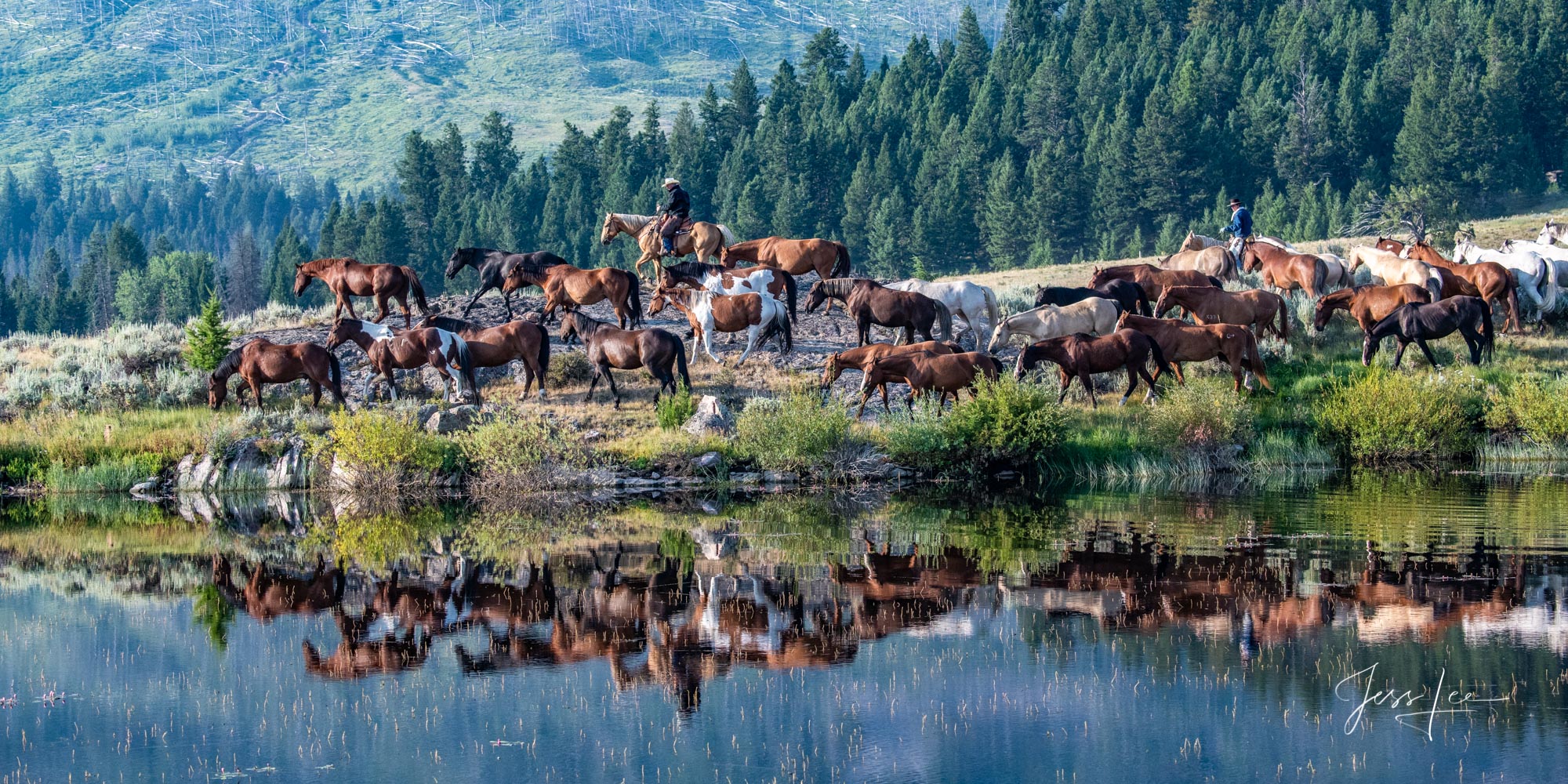Fine Art Limited Edition Photography of Cowboys, Horses and life in the West. Wyoming Cowboys bring the horse herd to morning...