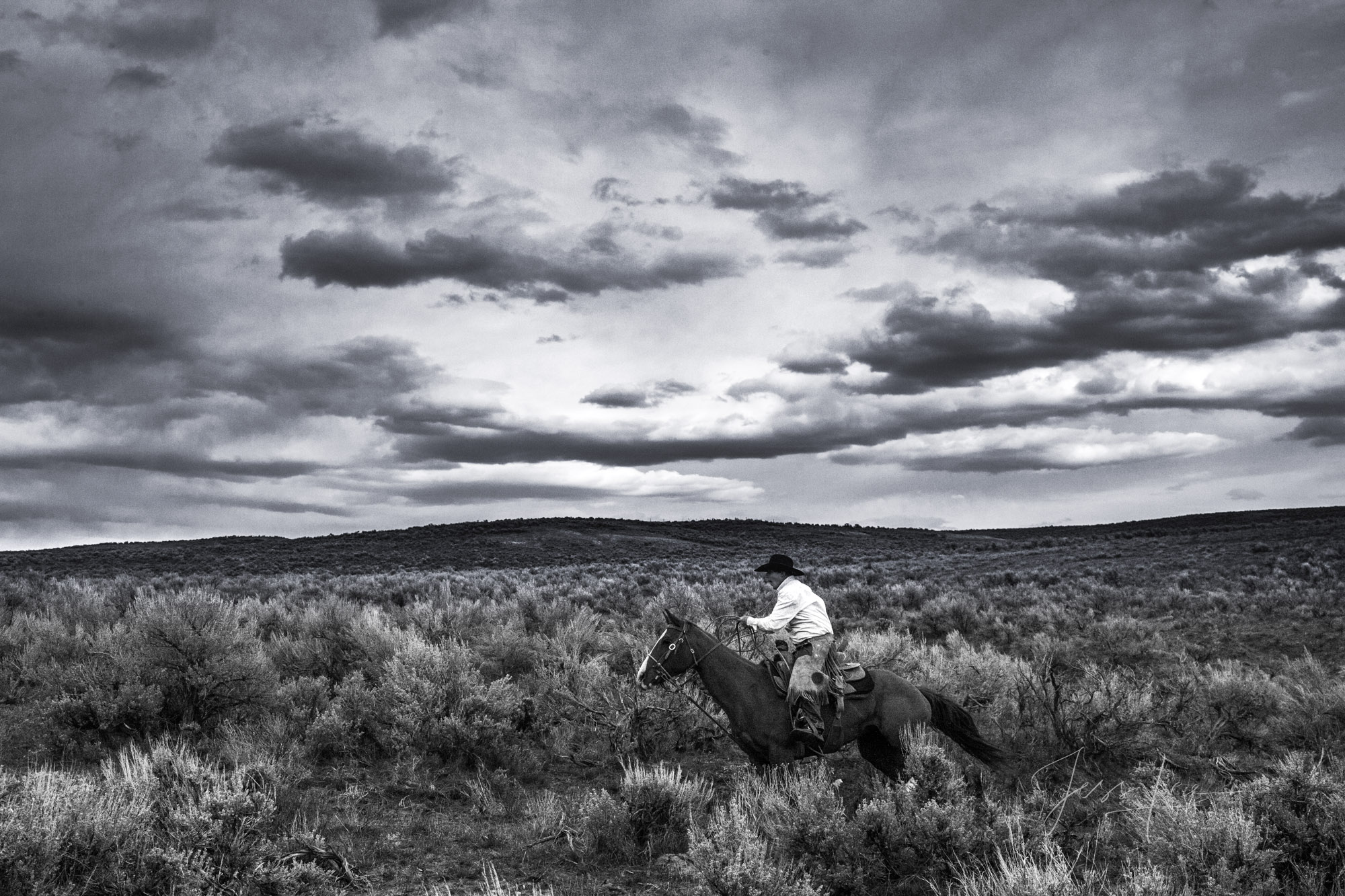 Fine Art Limited Edition Photo Prints of Cowboys, Horses, and life in the West.  Cowboy pictures in black and white. Range Rider...