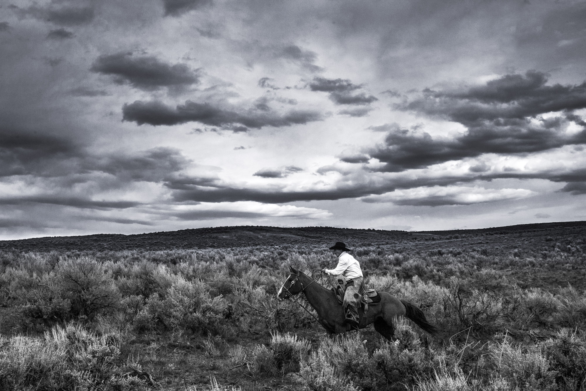 Range Rider Fine Art Limited Edition Photo Prints of Cowboys, Horses, and life in the West. Cowboy pictures in black and white. Range Rider...