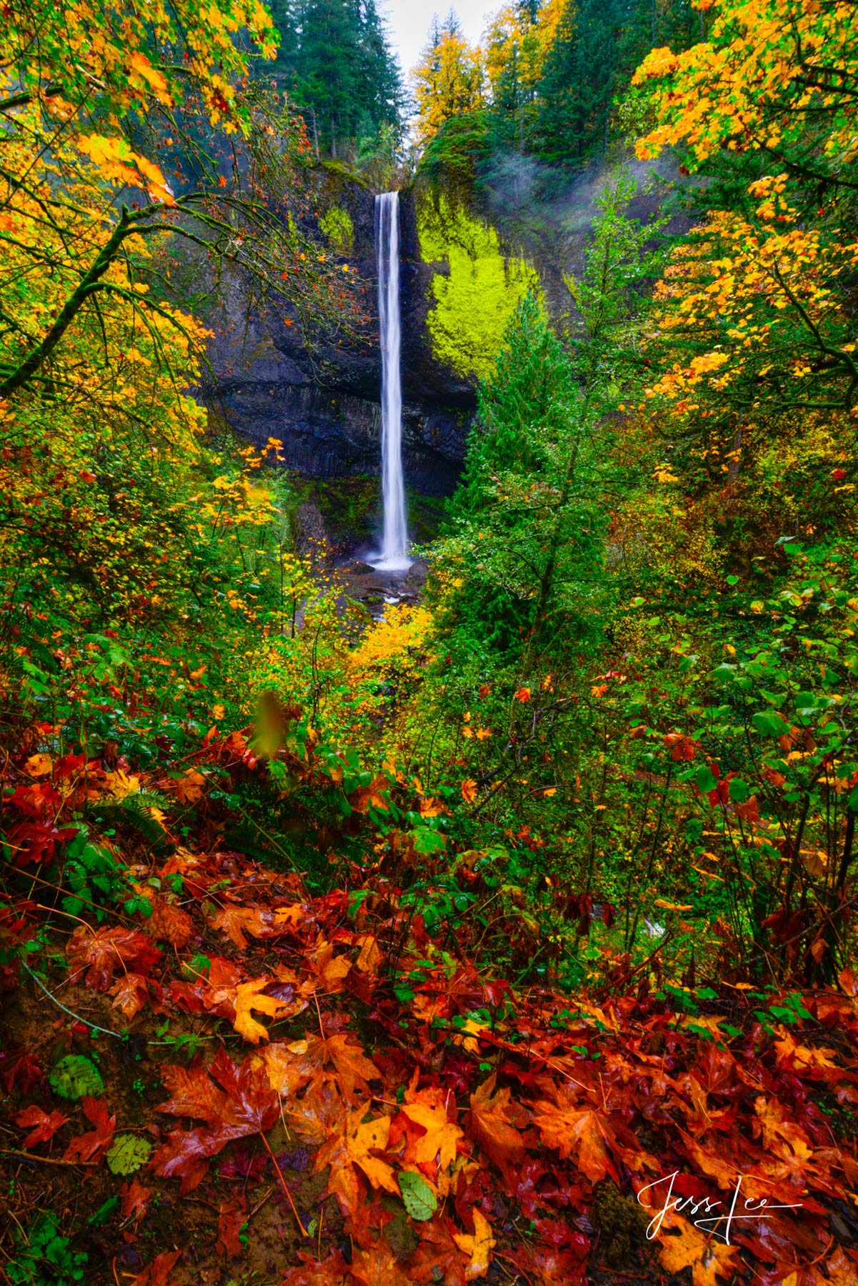 Autumn Falls Vertical Autumn waterfall