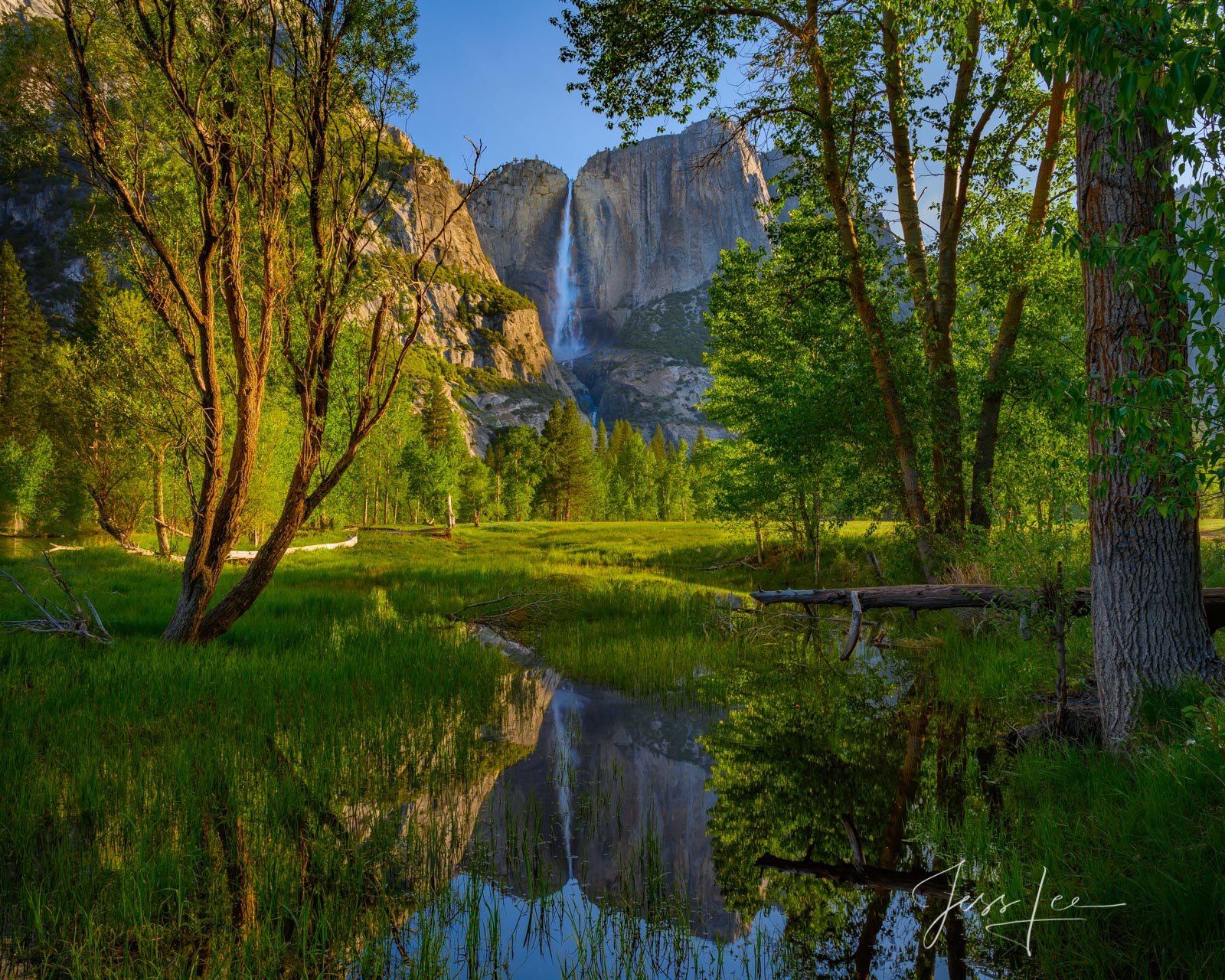 Morning Reflection of Yosemite Falls Picture of Yosemite Falls