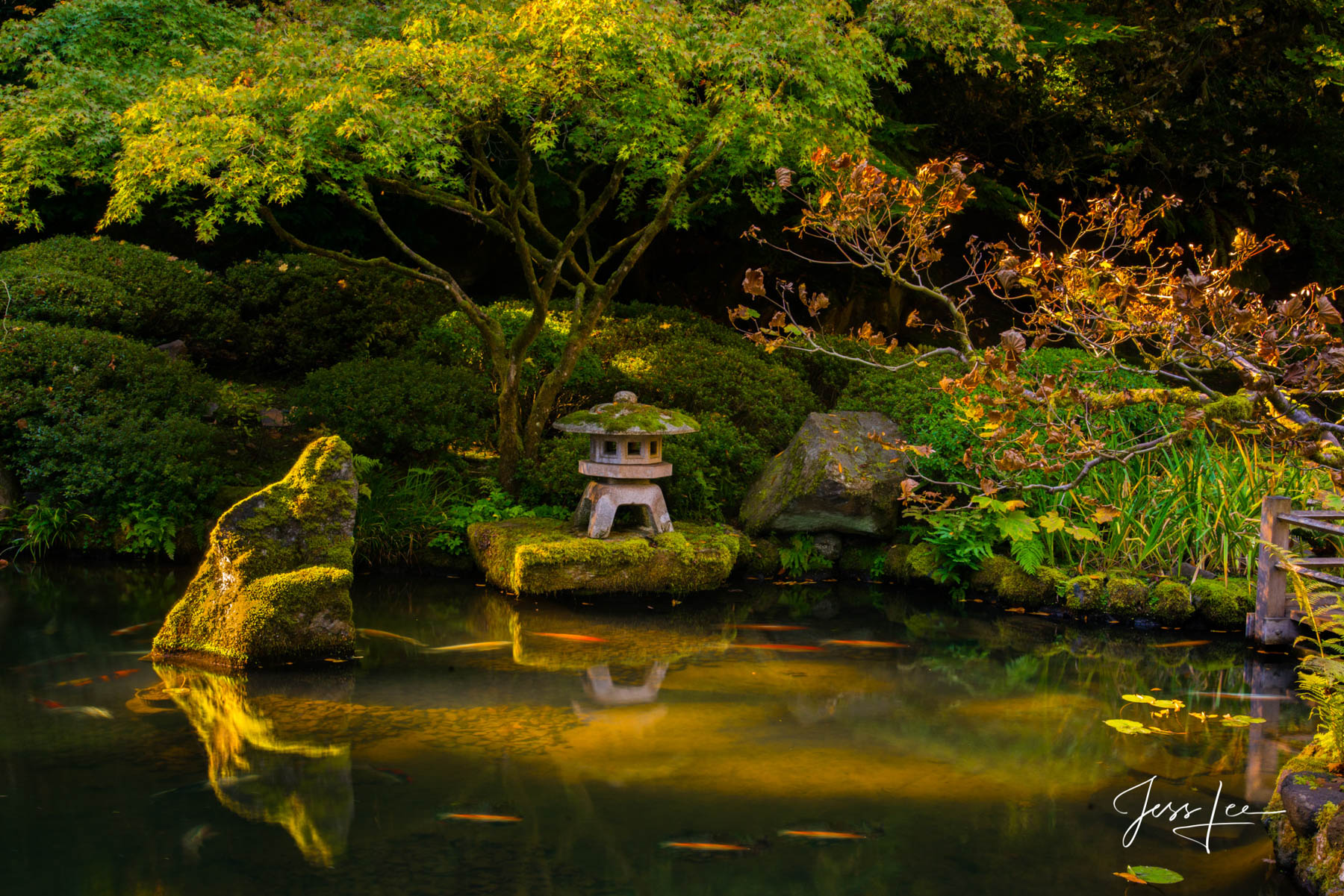 Limited Edition of 50 Exclusive high-resolution Museum Quality Fine Art Prints of the Japanese Garden Pond Trees.  As a Japanese...