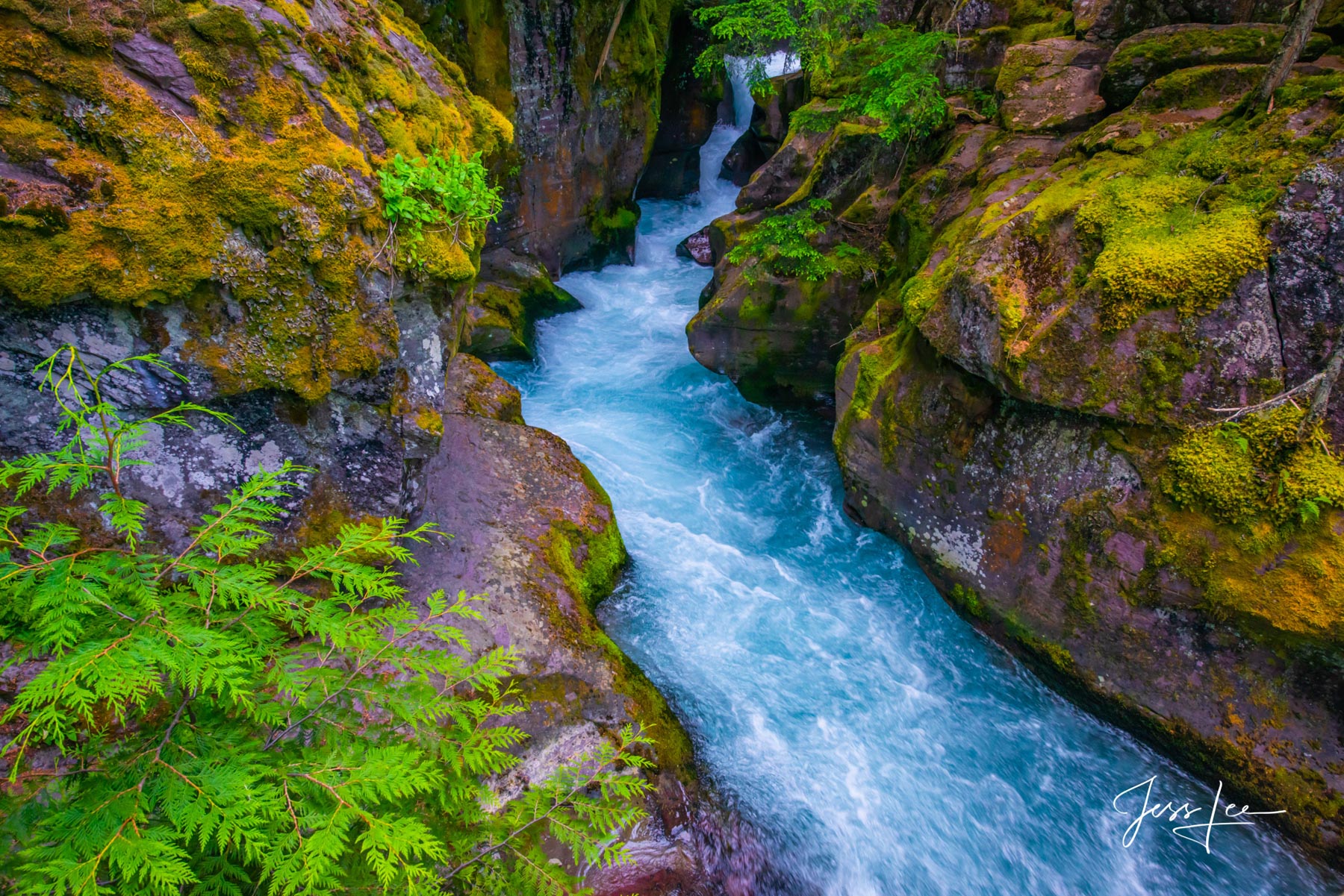 Glacier National Park Photography Print of blue waters