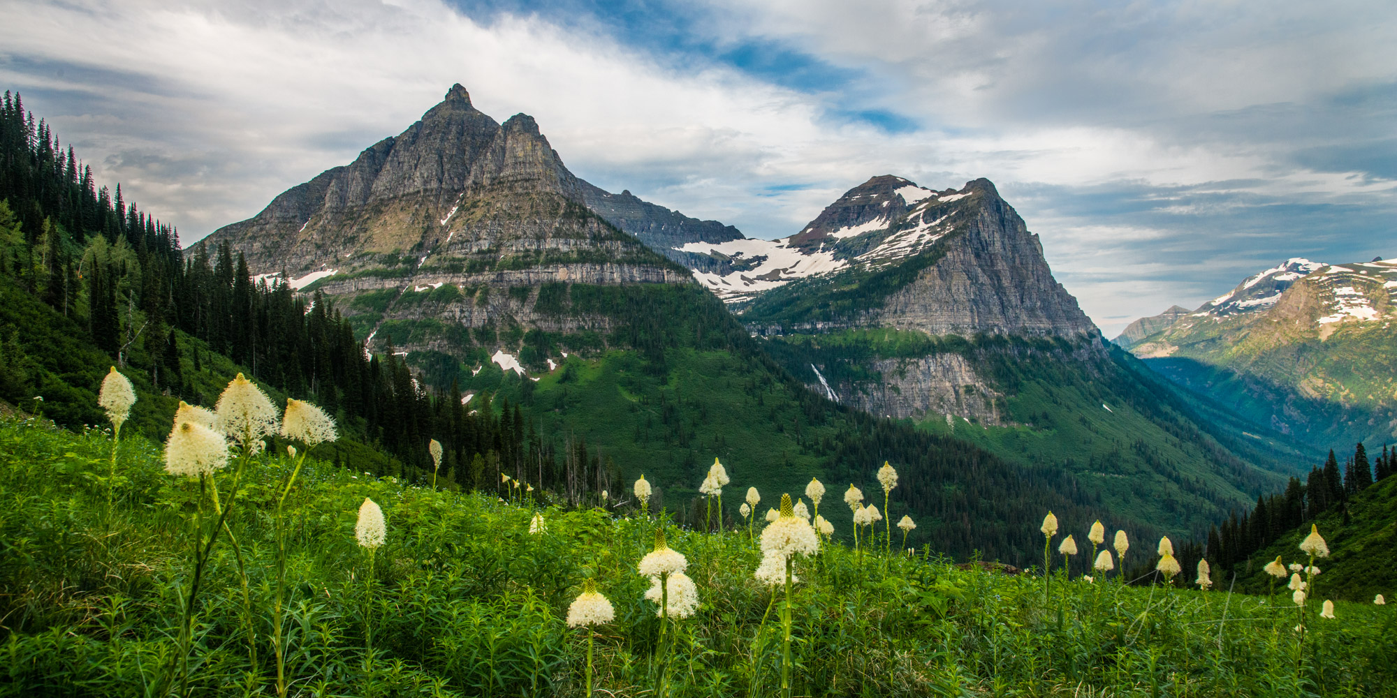 Bear Grass blooming in Glacier National Park: a Panoramic fine art limited edition of 200 prints by Jess Lee.  To learn more...