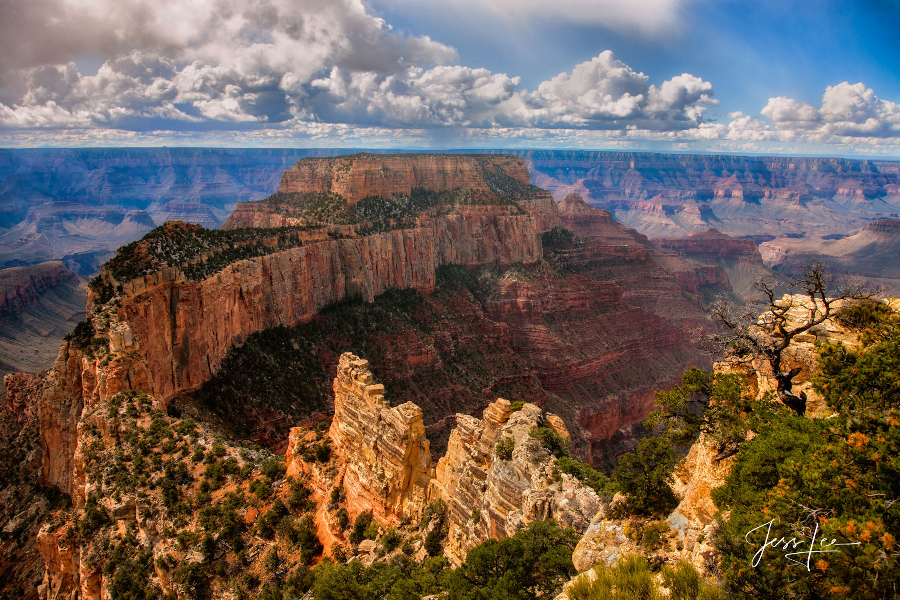 Rim Light Rim Light Grand Canyon Photography Print