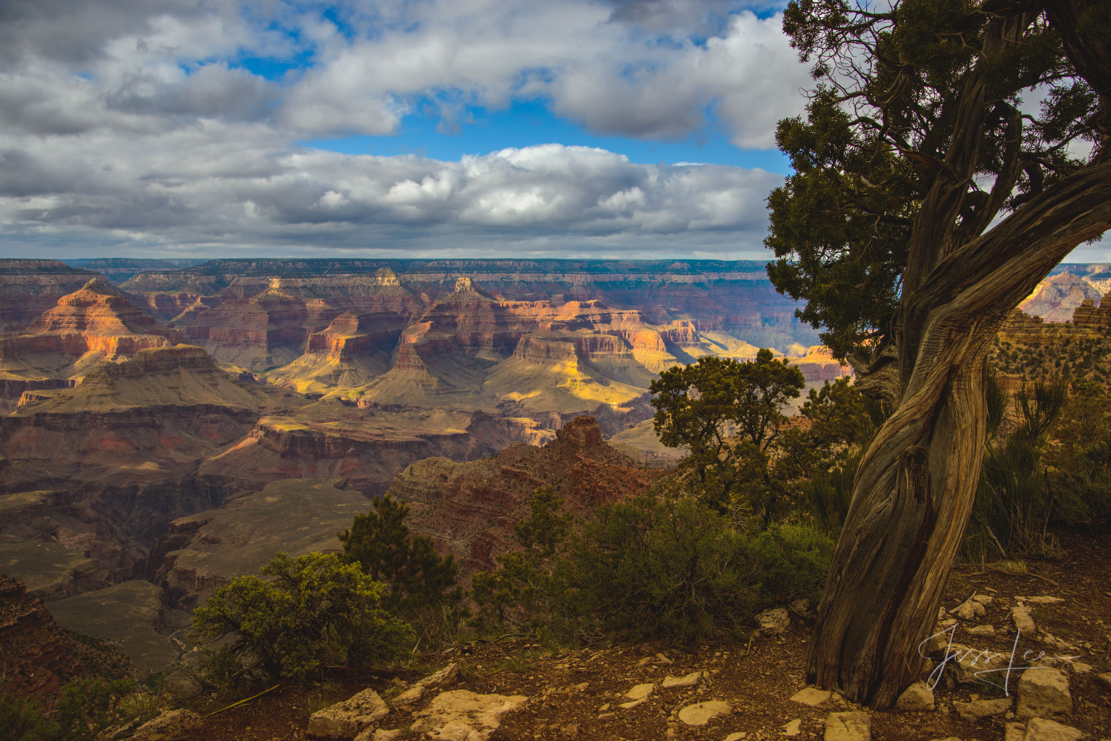 A Grand Canyon photo fine art print of beautiful Photography and Pictures in large format museum-quality Acrylic or metal wall art