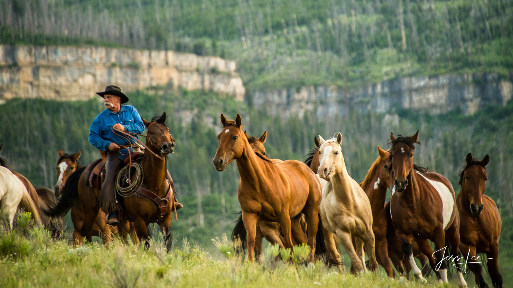 Heading em up! Fine Art, Limited Edition, Cowboy, and Western exclusive high-resolution Museum Quality Photography Prints of Western life and...