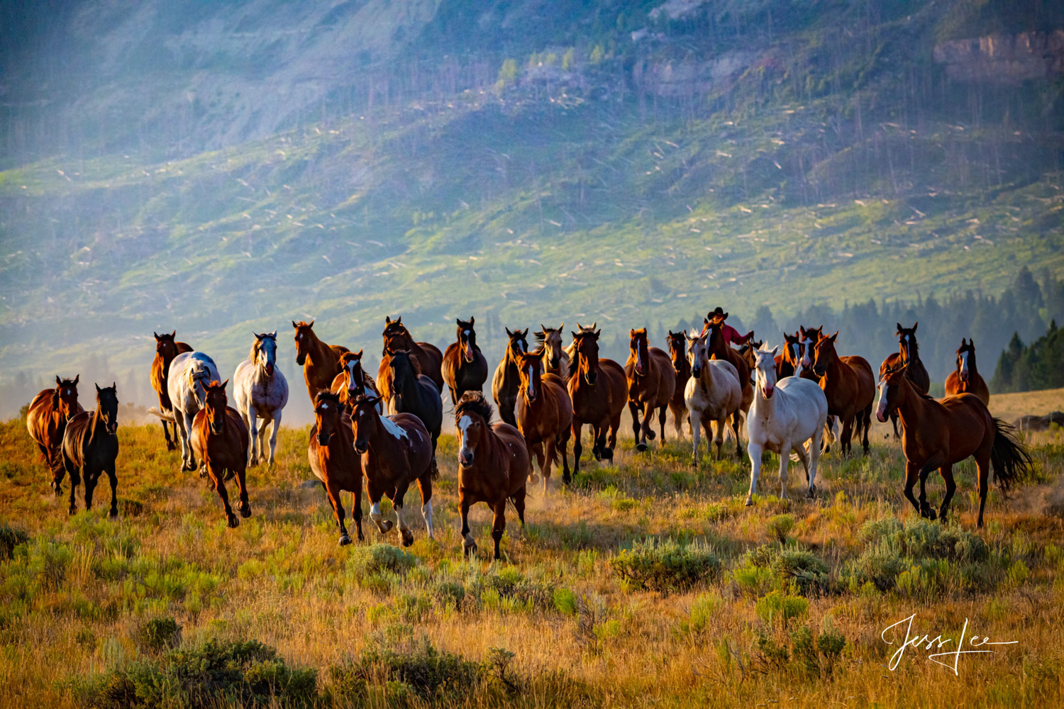 Fine Art Limited Edition Photography of Cowboys, Horses and life in the West. Wyoming horse herd running over the hill on their...
