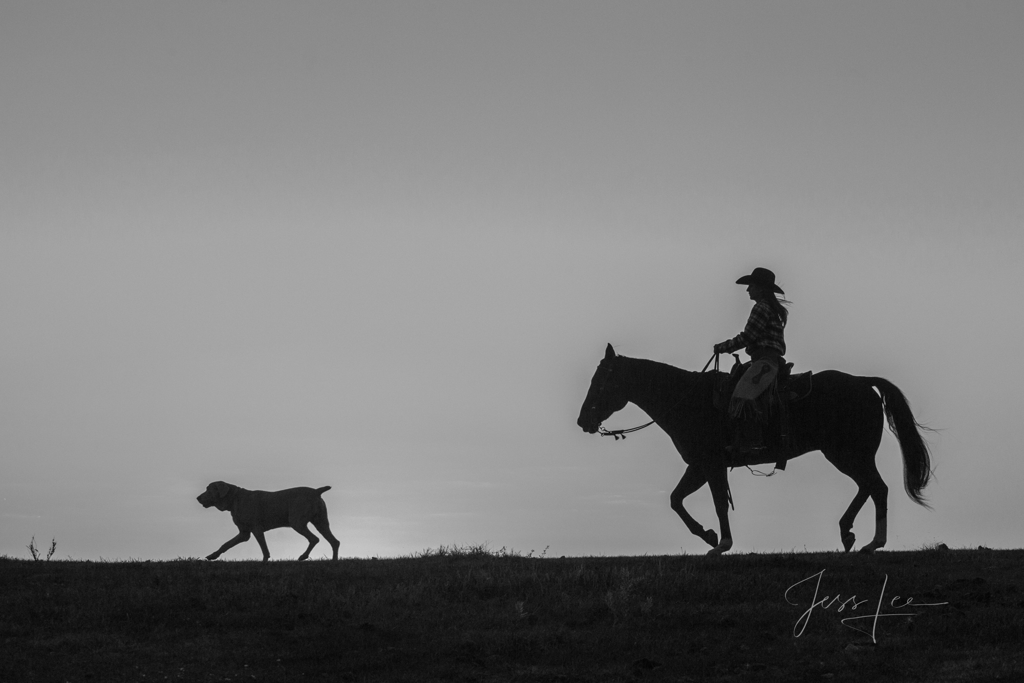 Trotting Behind Cowboy Photography, dog photos, western photography, horse photos, black and white photos