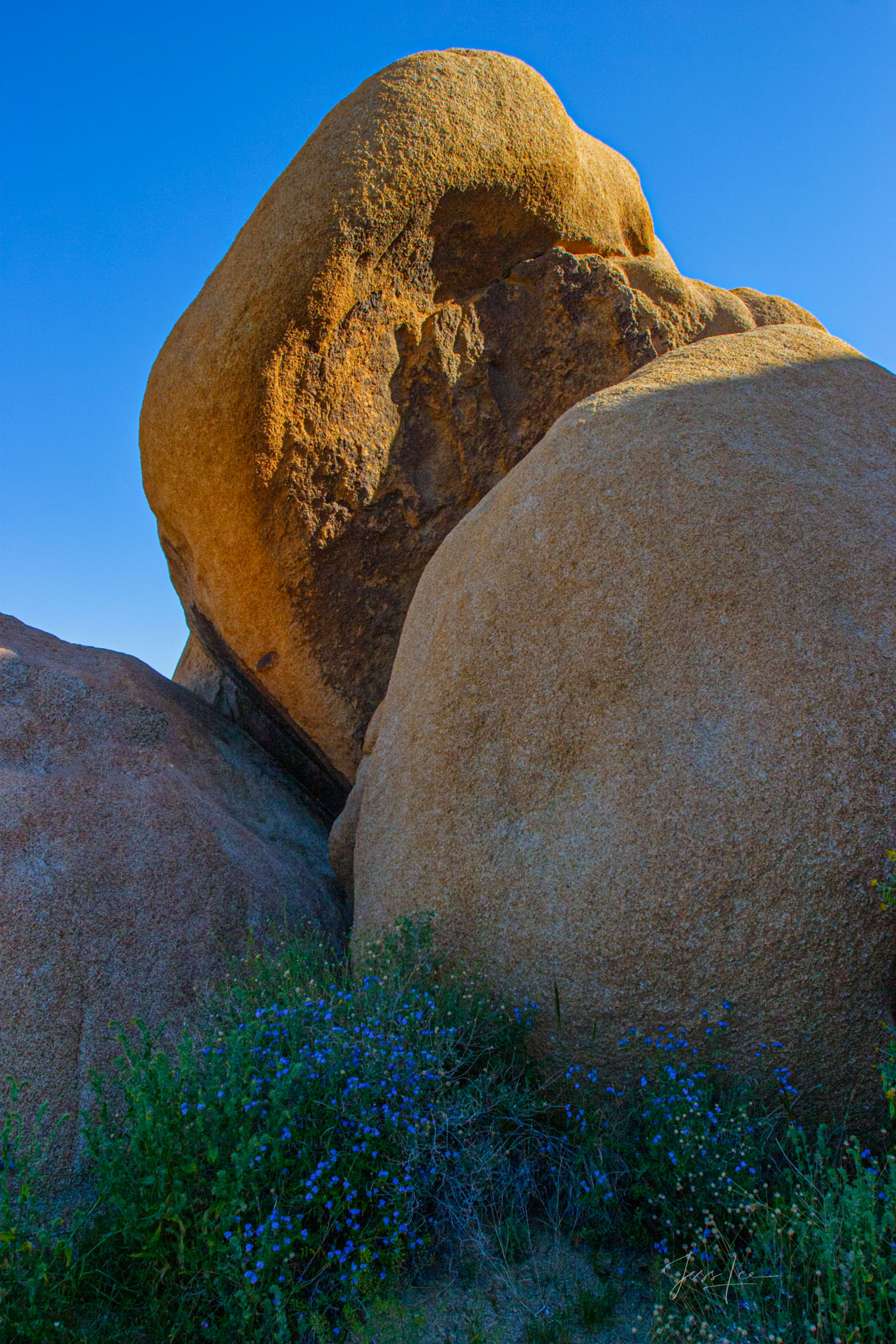 Beautiful Photography, Fine Art Landscape Print Of Joshua Tree National Park, California