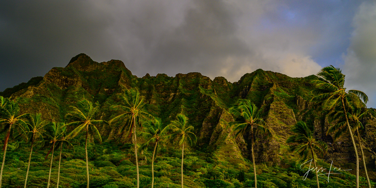 Transform your walls with Jurassic Palms,   a beautiful Fine Art Limited Edition Print of the Hawaiian paradise photographed...