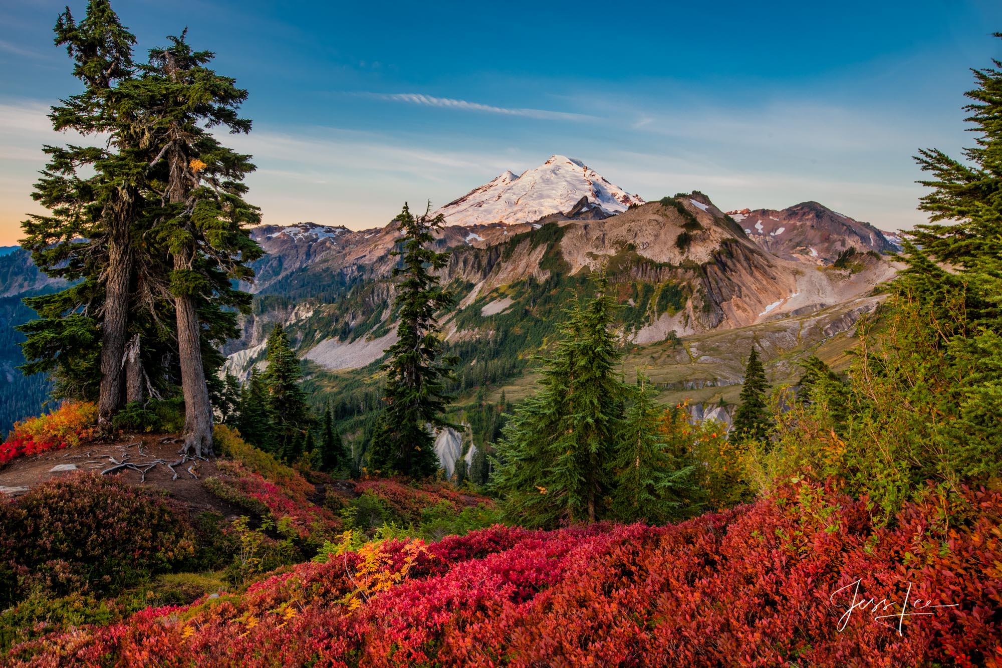 Fine Art Limited Edition Photography of Mt. Baker, Washington. Autumn view of Mt. Baker from behind a stand of evergreens surrounded...