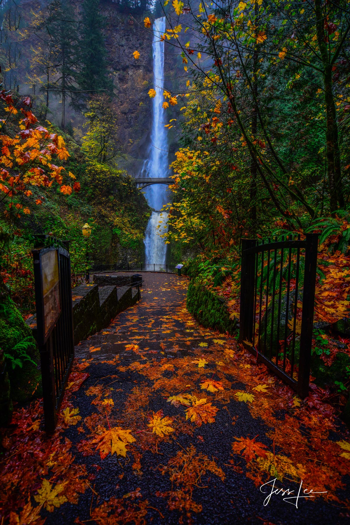 Multnomah Falls, Oregon Maple covered walkway to glory.