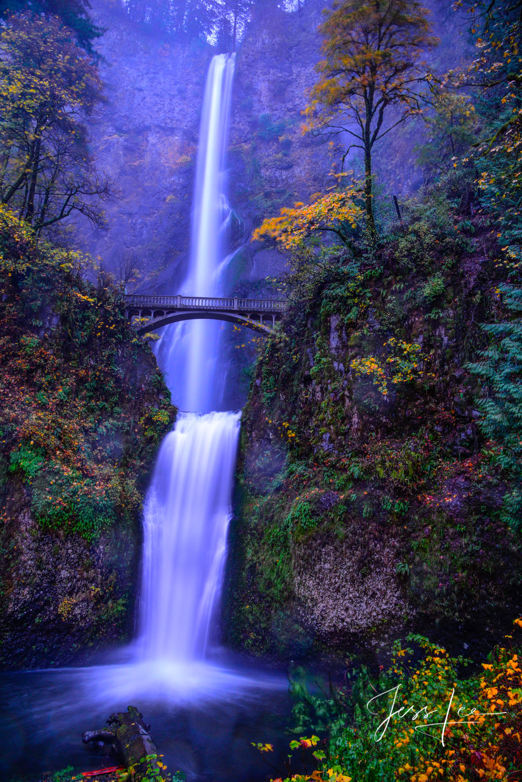 Multnomah Falls Autumn Multnomah Falls in Autumn, a limited edition of 100 prints. bring the beauty home, order today.