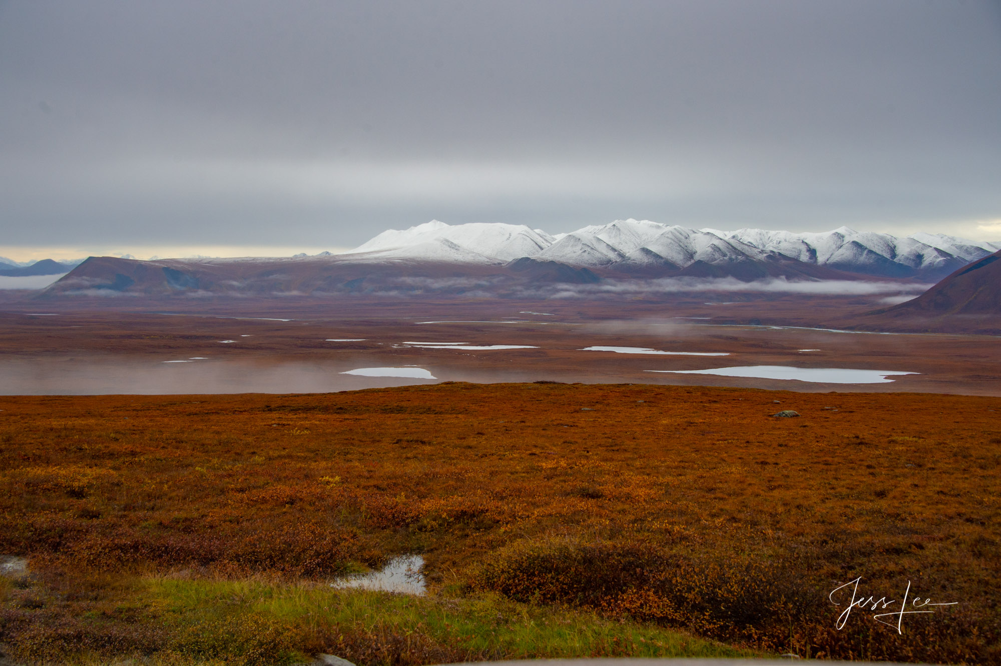 Tundra north of the Brooks Range in Alaska during autumn. Snow covers the mountain peaks. 