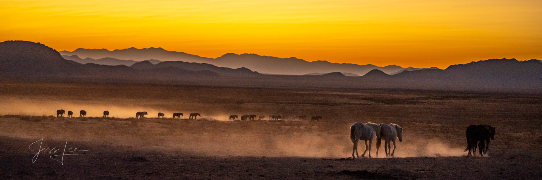 Onaqui Wild Horses heading from the last waterhole after a refreshing drink. To purchase a Limited Edition Fine Art Print from...