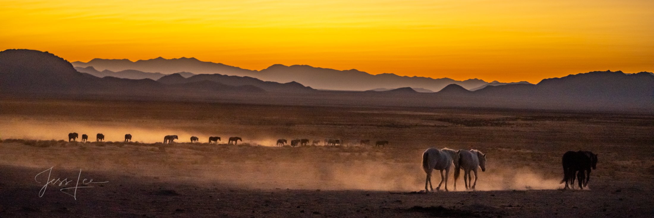 Last water Onaqui Wild Horses heading from the last waterhole after a refreshing drink. To purchase a Limited Edition Fine Art Print from...