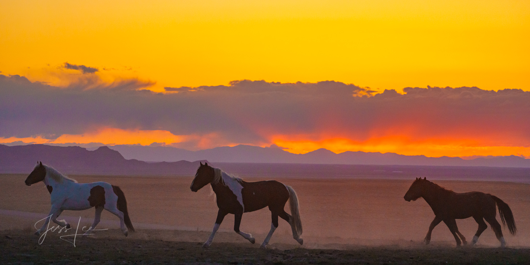 Sunrise on the Onaqui Onaqui Wild horses at sunrise.