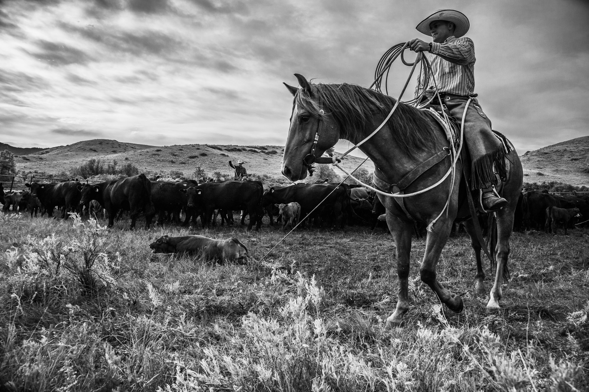Fine Art Limited Edition Photo Prints of Cowboys, Horses, and life in the West. Waiting. A Cowboy picture in black and white....