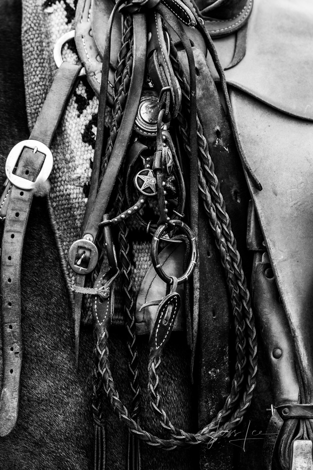 Fine Art Limited Edition Photo Prints of Cowboys, Horses, and life in the West. Braids. A Cowboy picture in black and white....