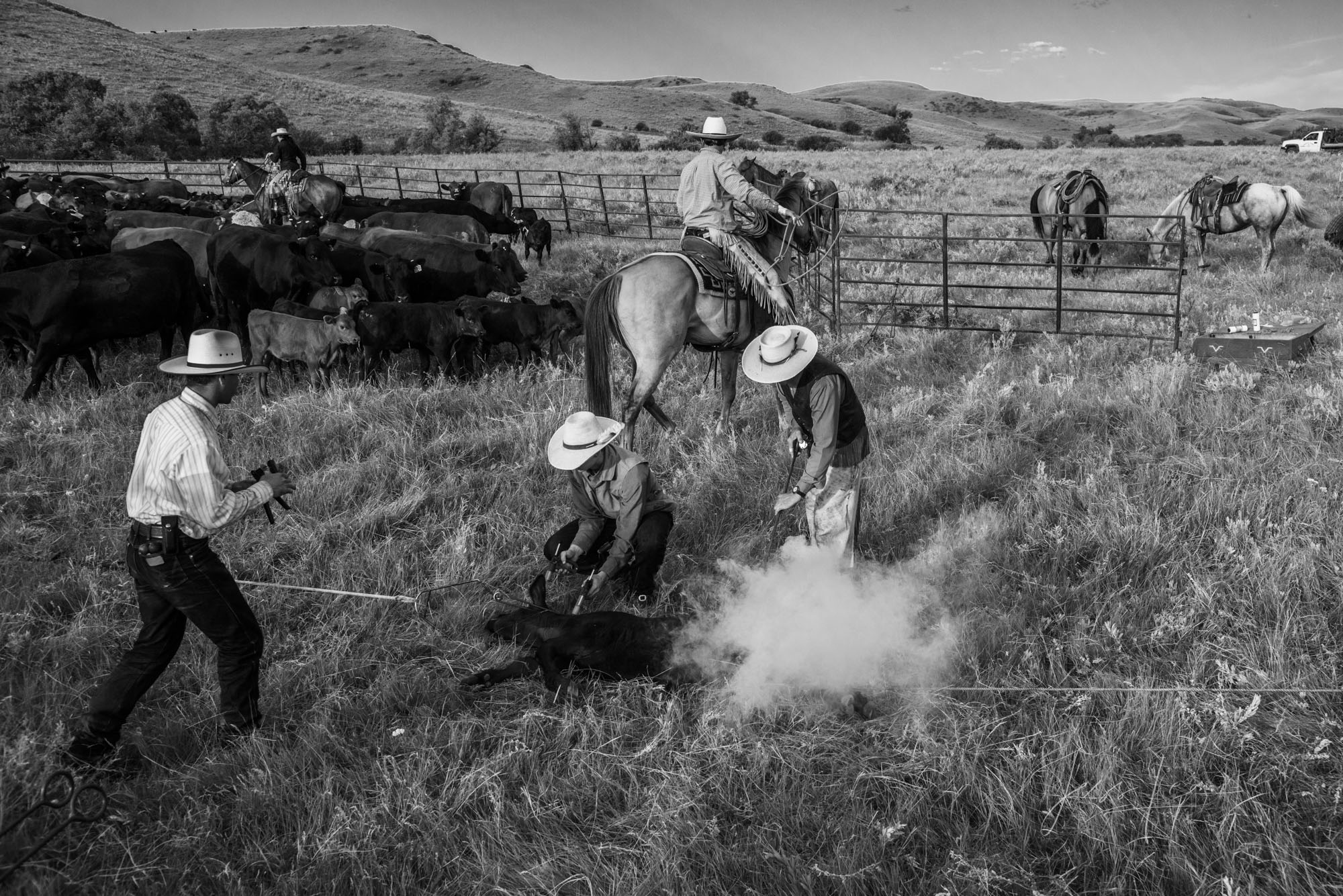 Fine Art Limited Edition Photo Prints of Cowboys, Horses, and life in the West. Make it Fast. A Cowboy picture in black and white...
